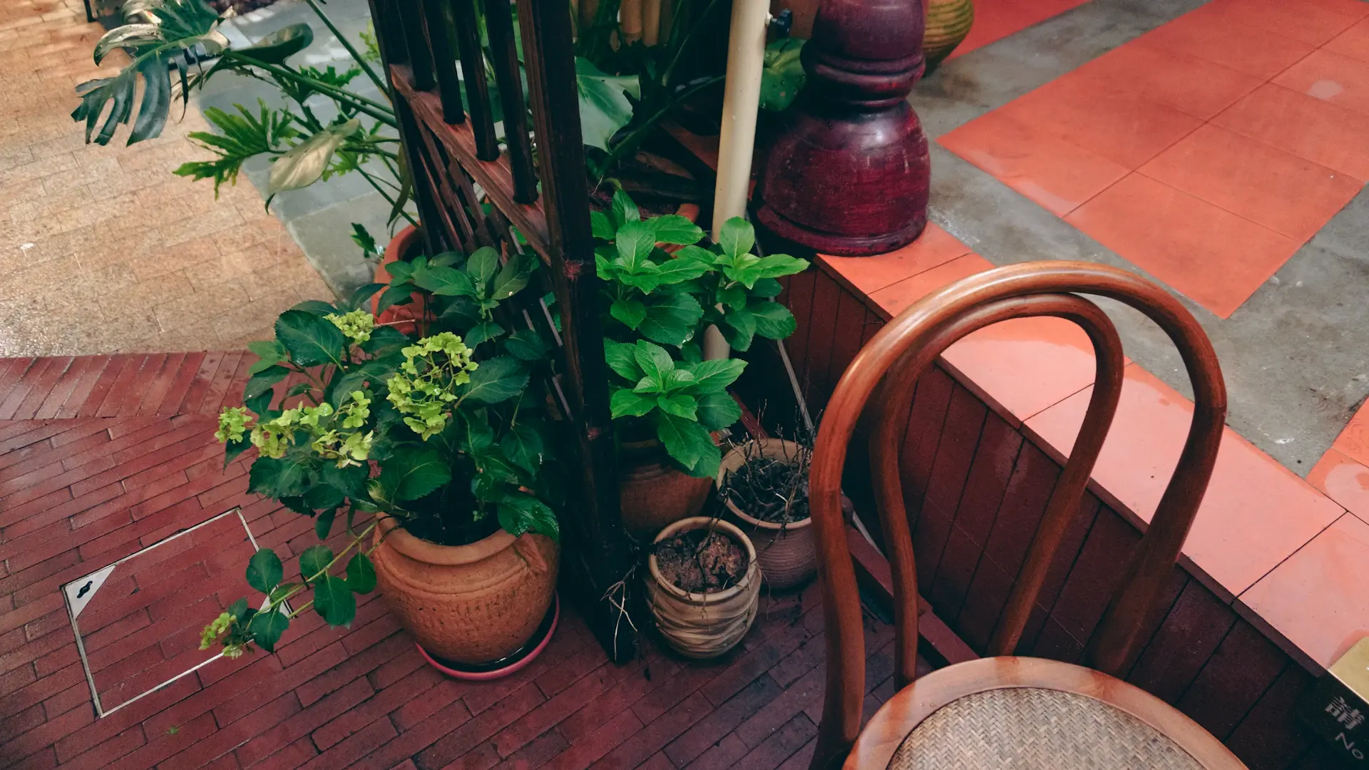 Wide view of cafe interior with warm wooden floor and plants