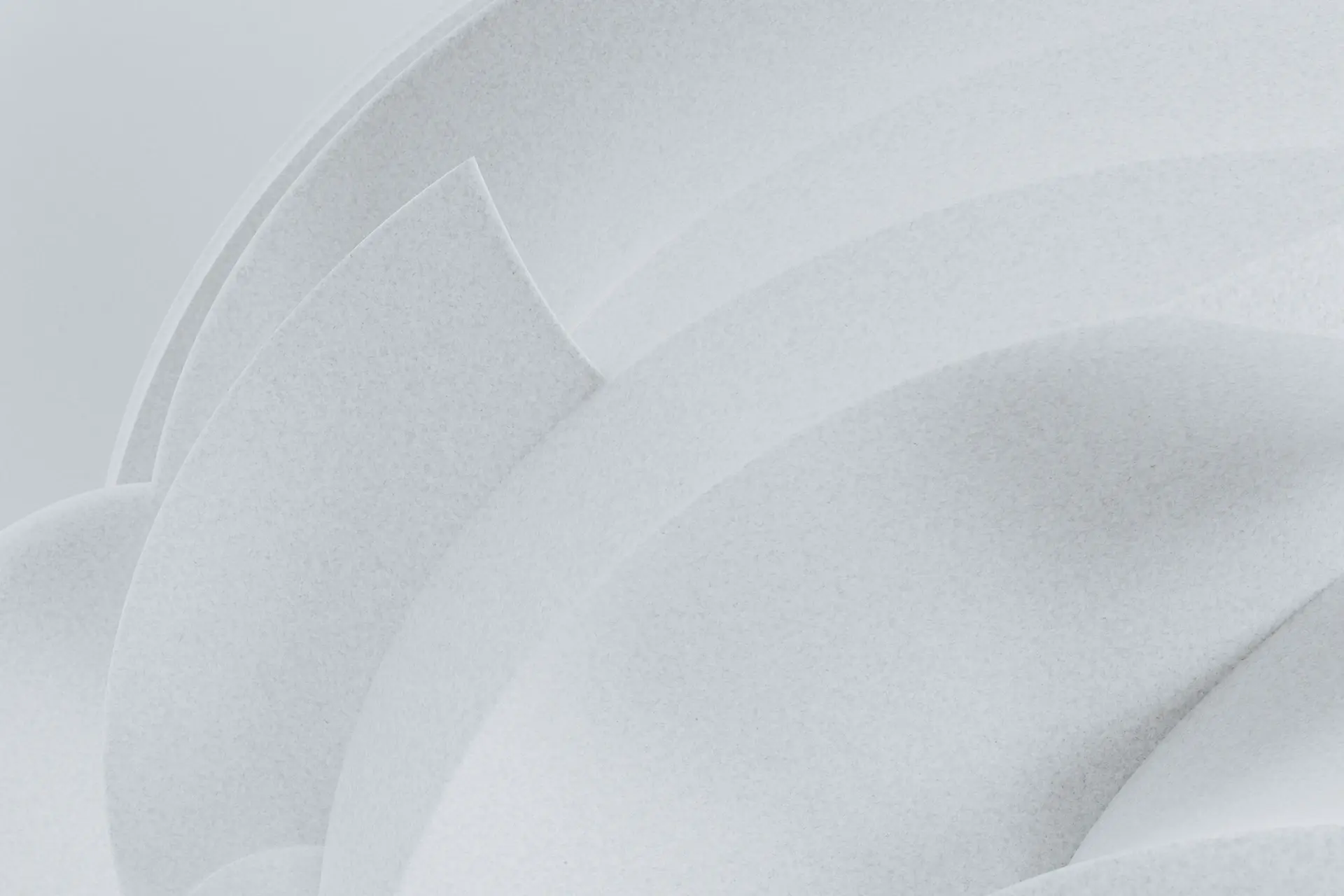 White Bloom signature rose gift box, minimal styling