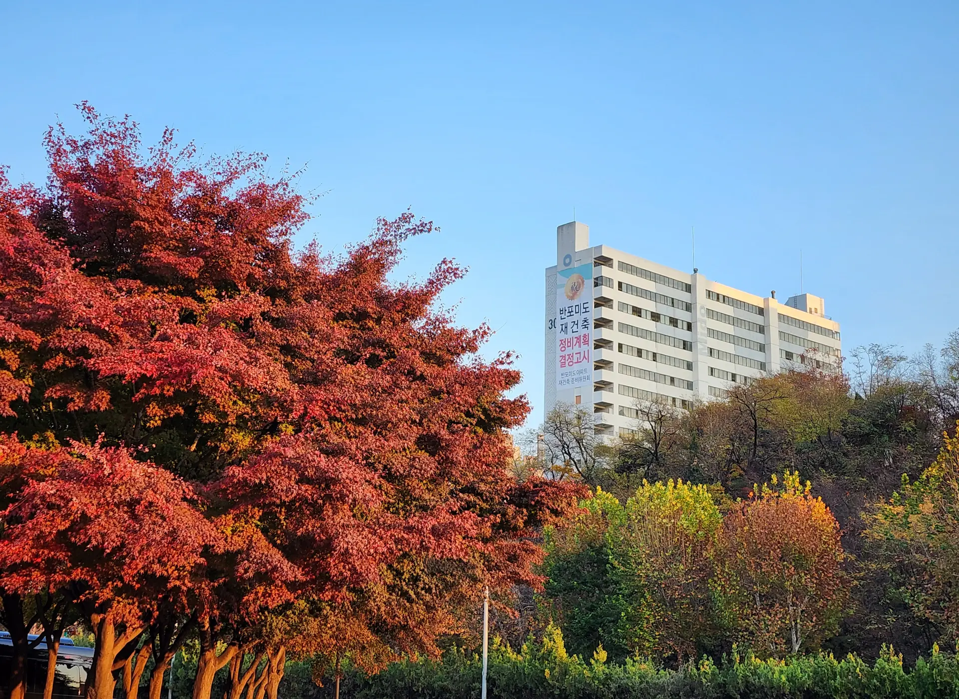 Seoul National University campus in autumn
