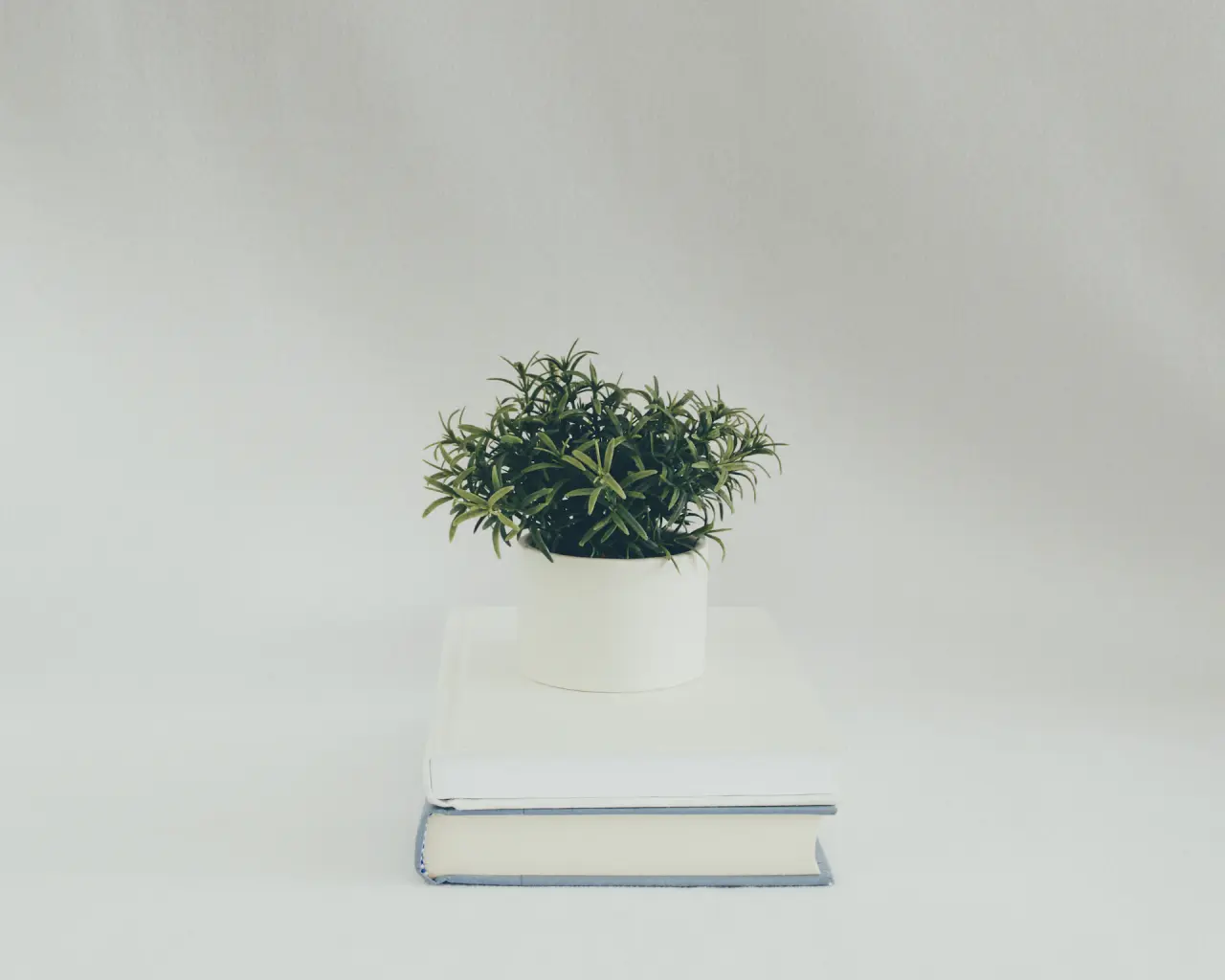 Minimal Reading