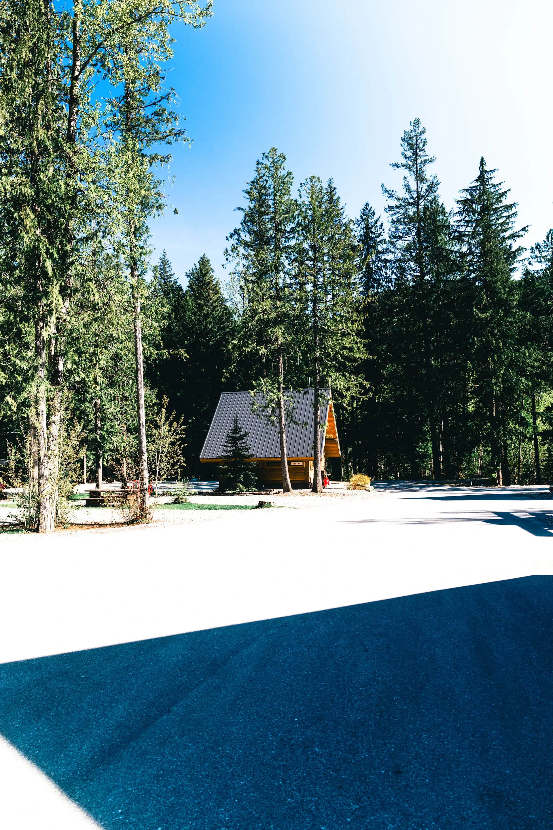 Glass mountain retreat villa surrounded by pines