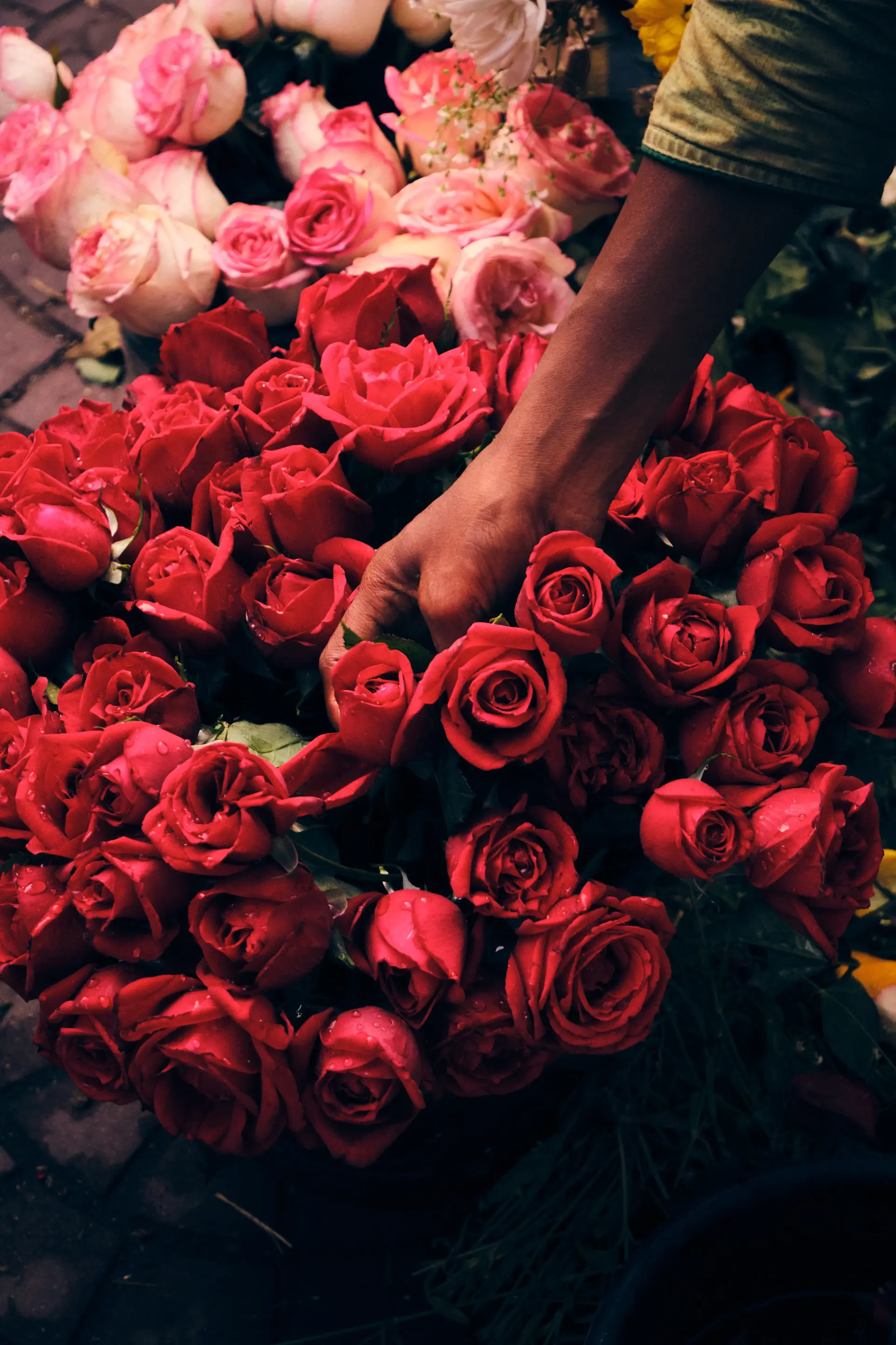 A Maison Rose artisan arranging roses by hand