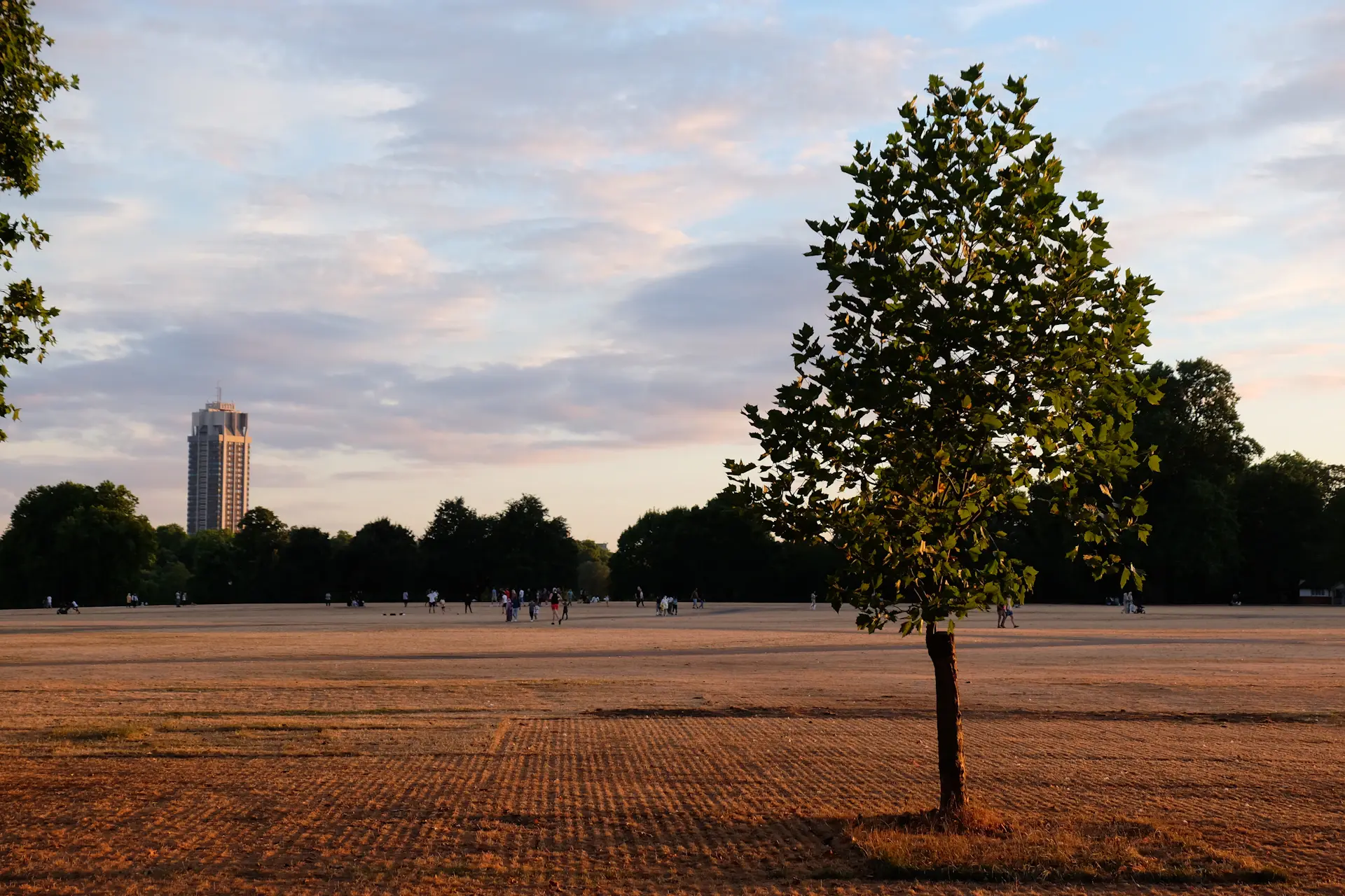 Evening light on a row of period townhouses