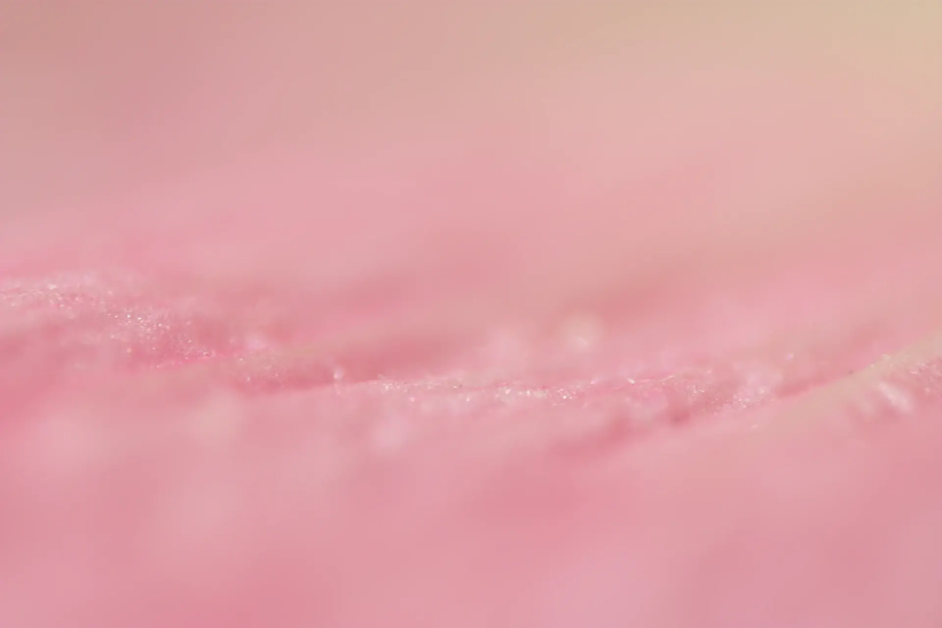 Phấn má swatch macro tone hồng cánh hoa