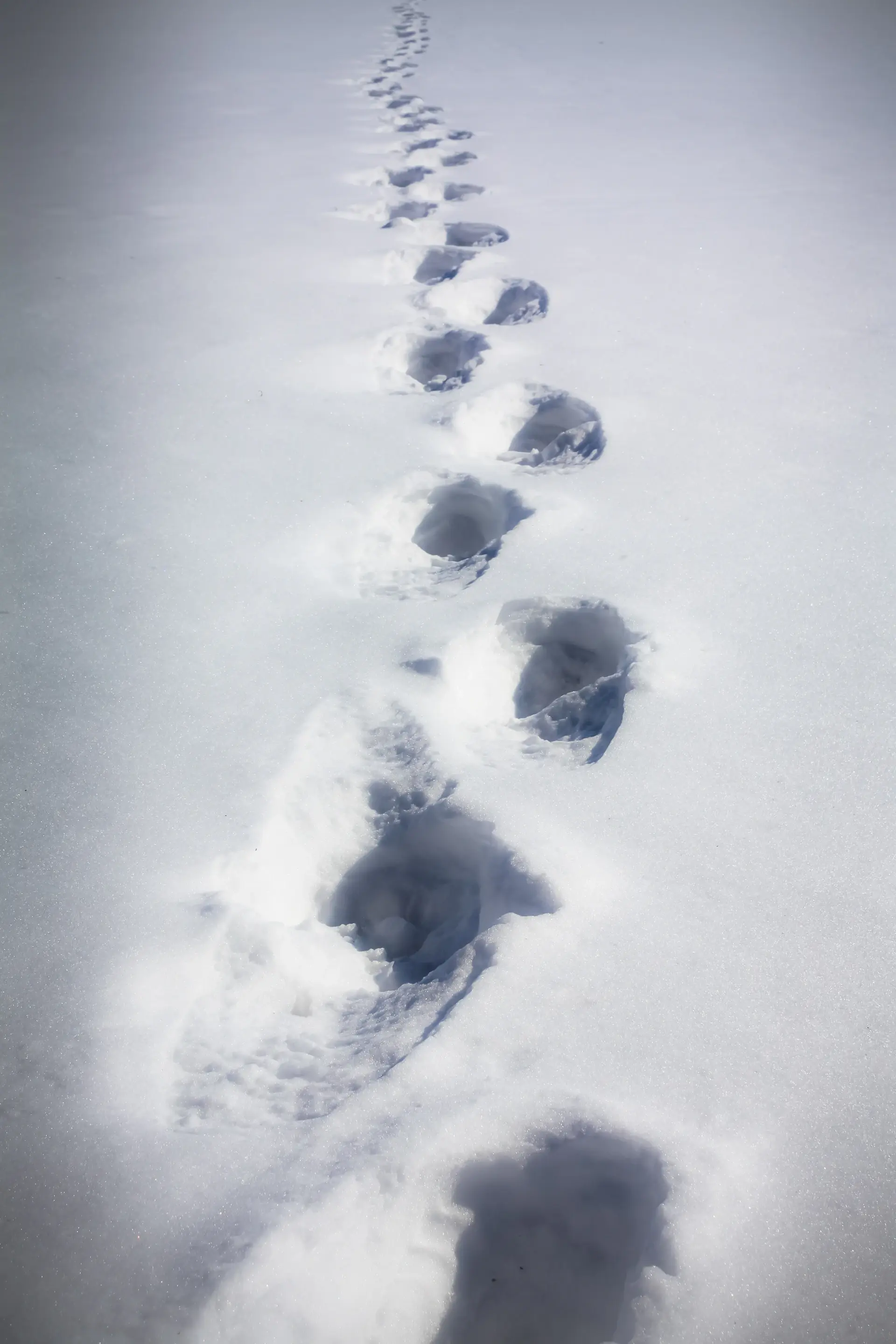 A single trail of boot prints crossing untouched high snow