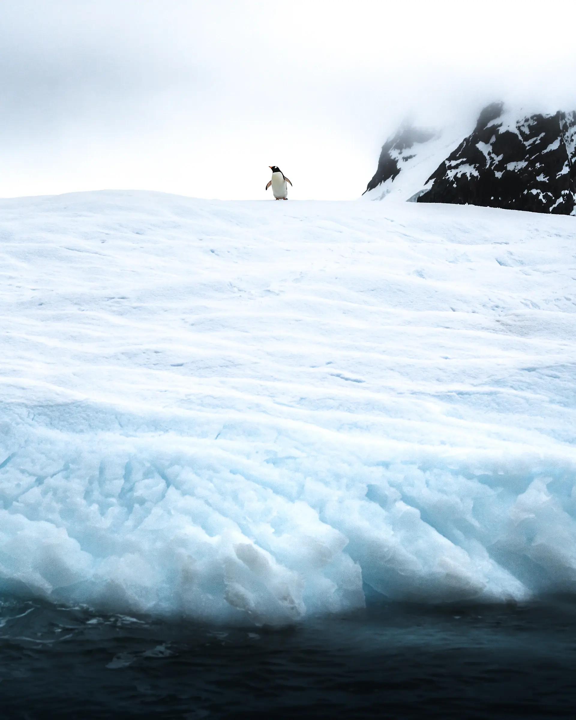 Expedition vessel against towering blue ice in Antarctica