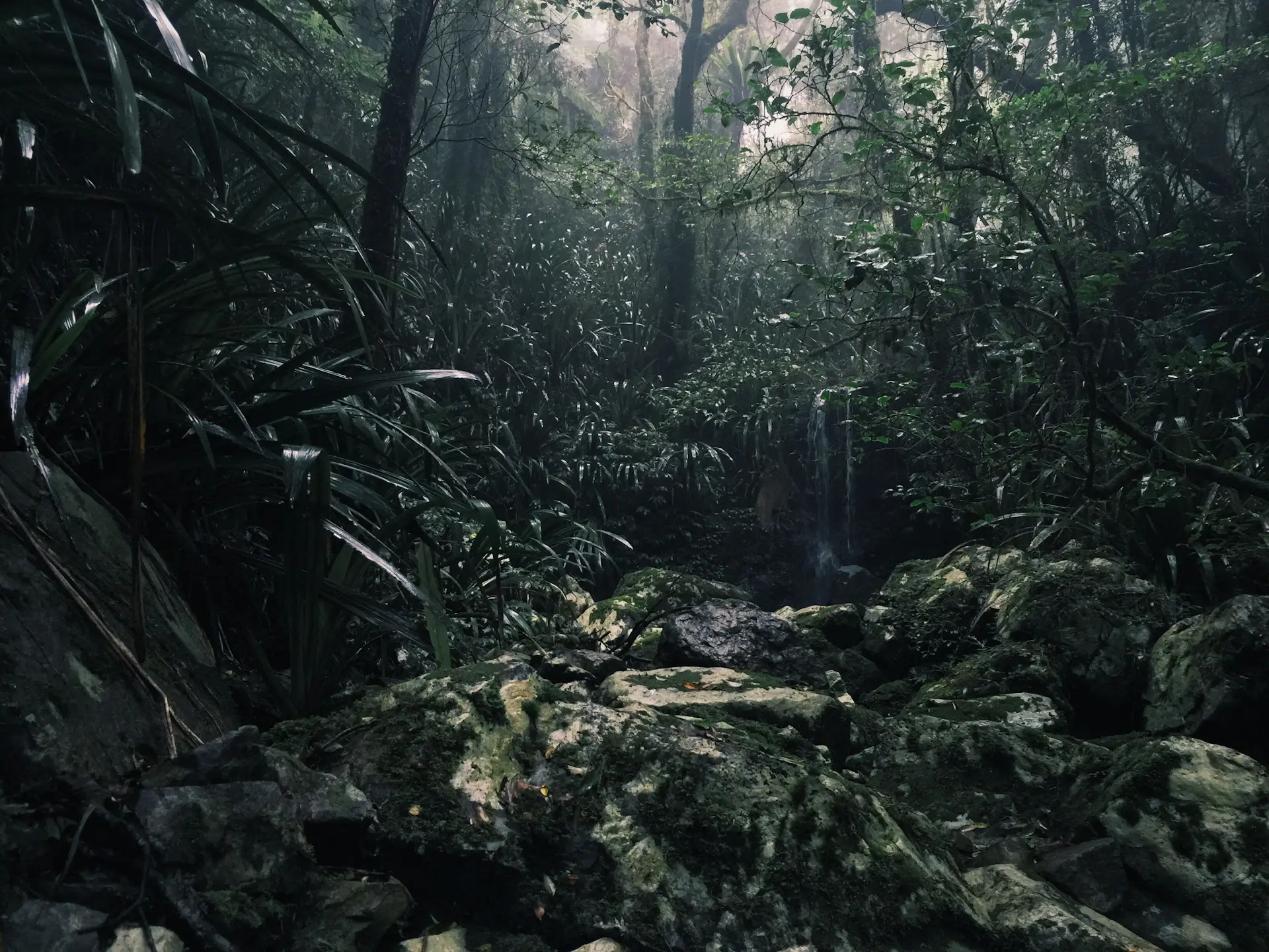 Final scattered pines below bare mountain slopes in golden light