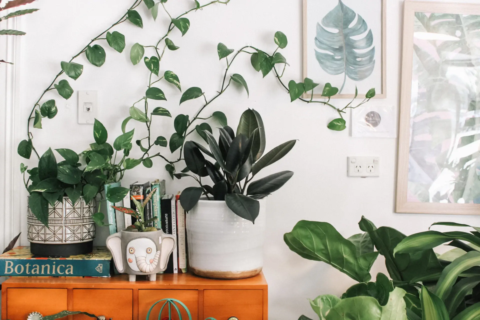 Stylist arranging plants in a living room