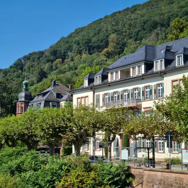 Universität Heidelberg