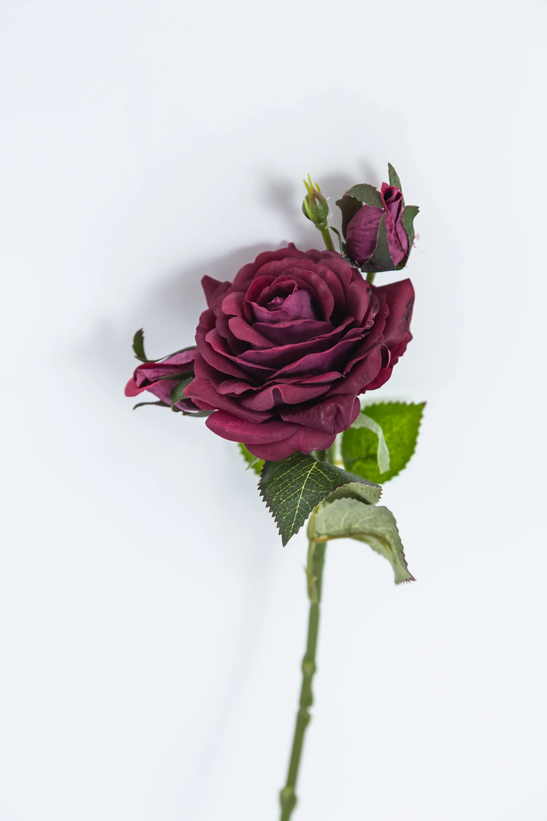 Blush roses in a minimal grey composition