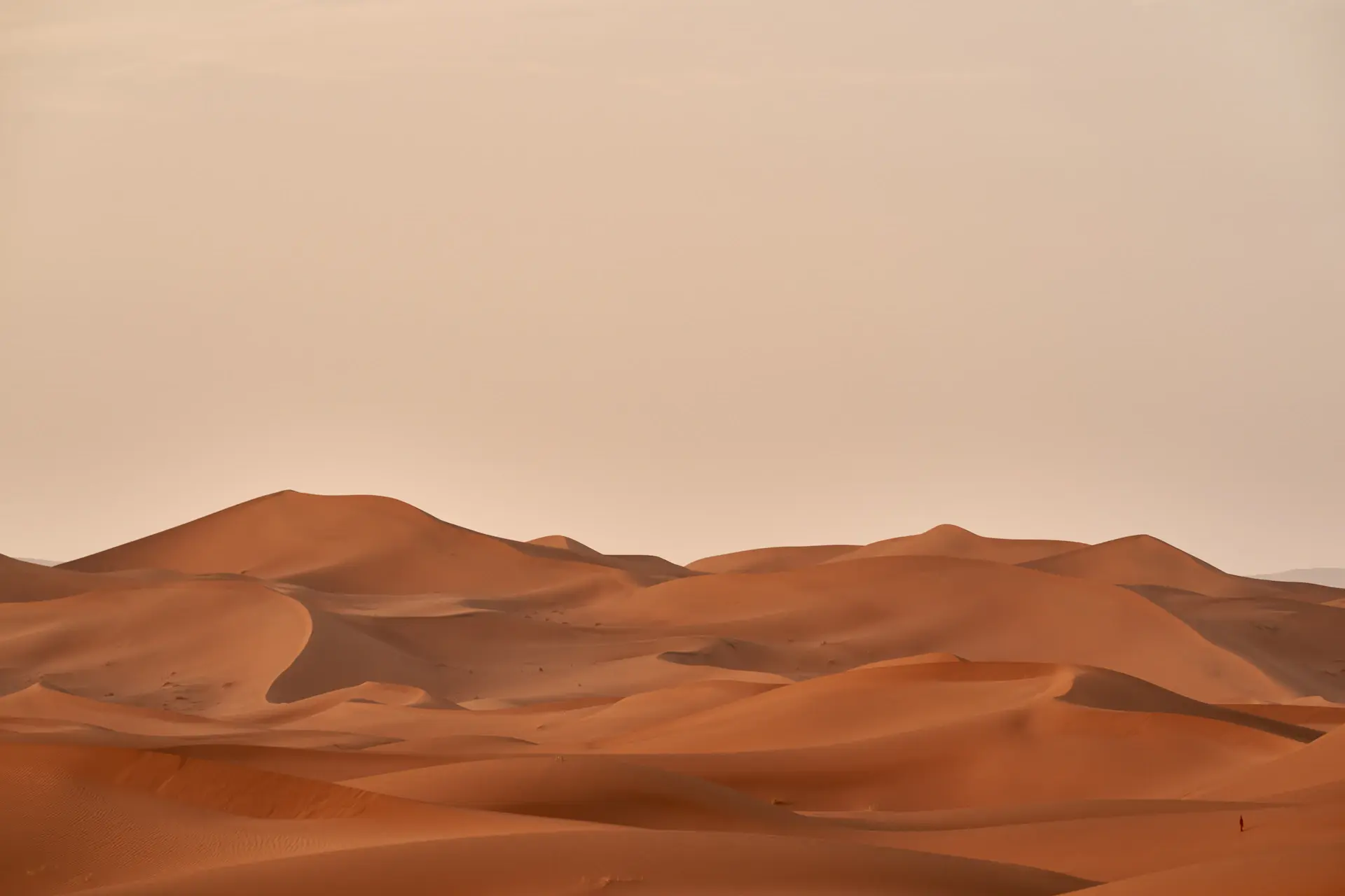 Curved dune ridges casting long shadows in early morning desert light