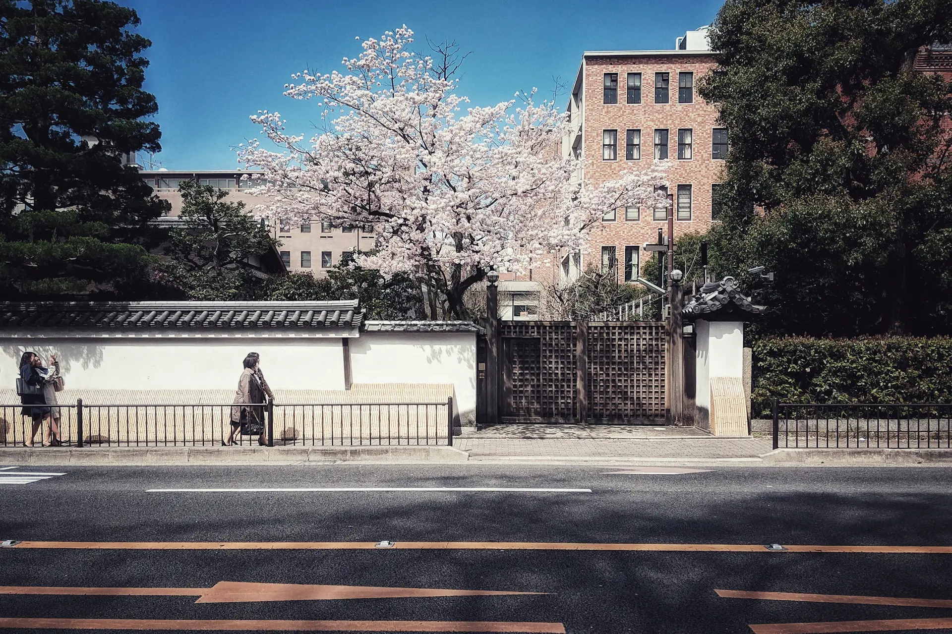 Đại học Osaka