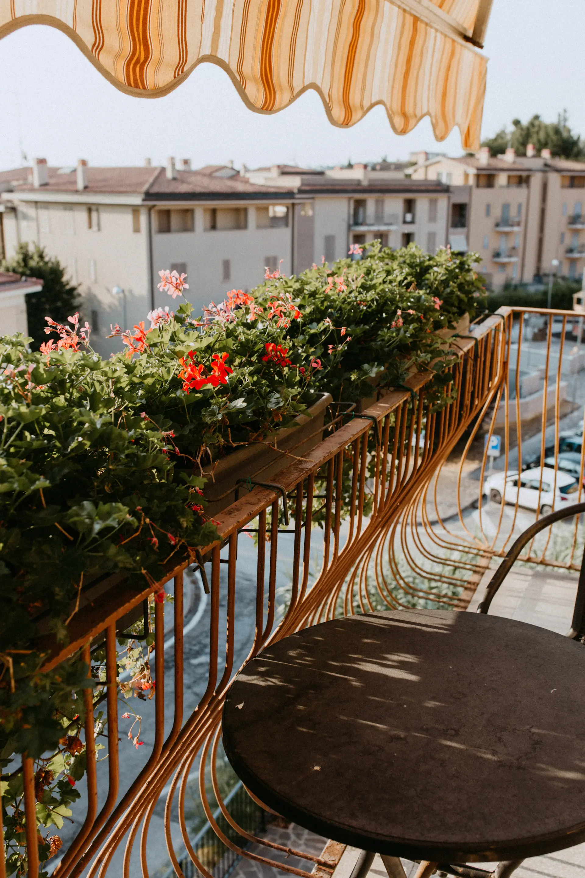 Railing planters of trailing flowers and greens