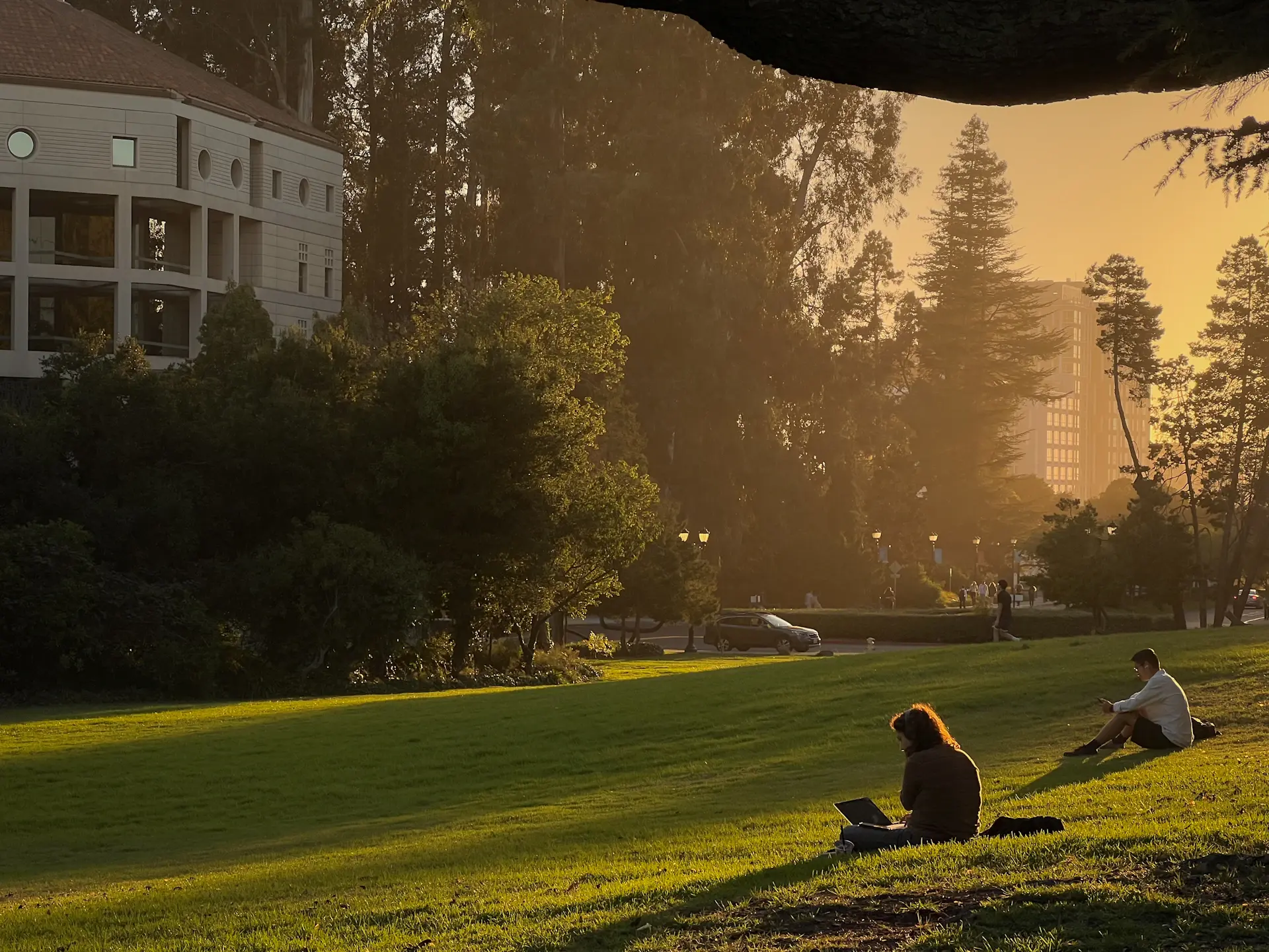 International students enjoying campus life together at golden hour
