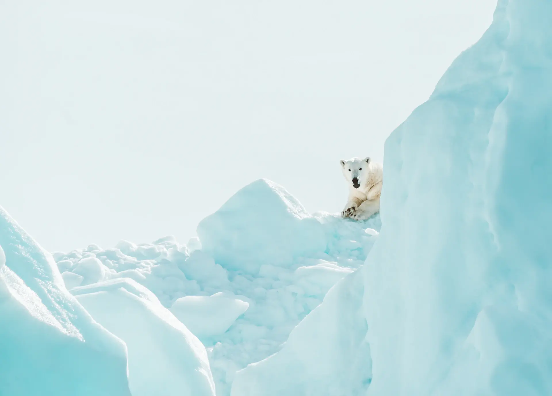 A weathered guide looking out over polar ice