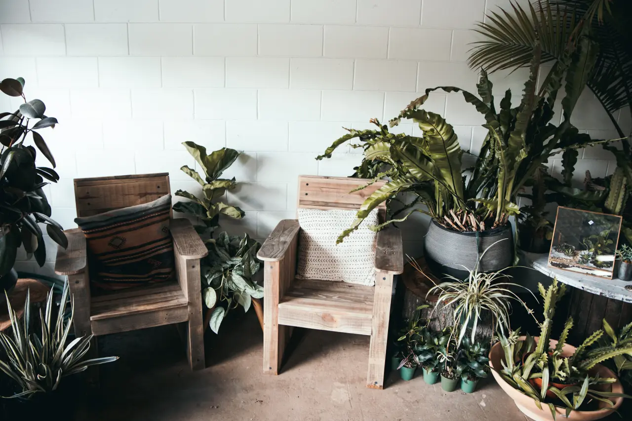 Office Wellness