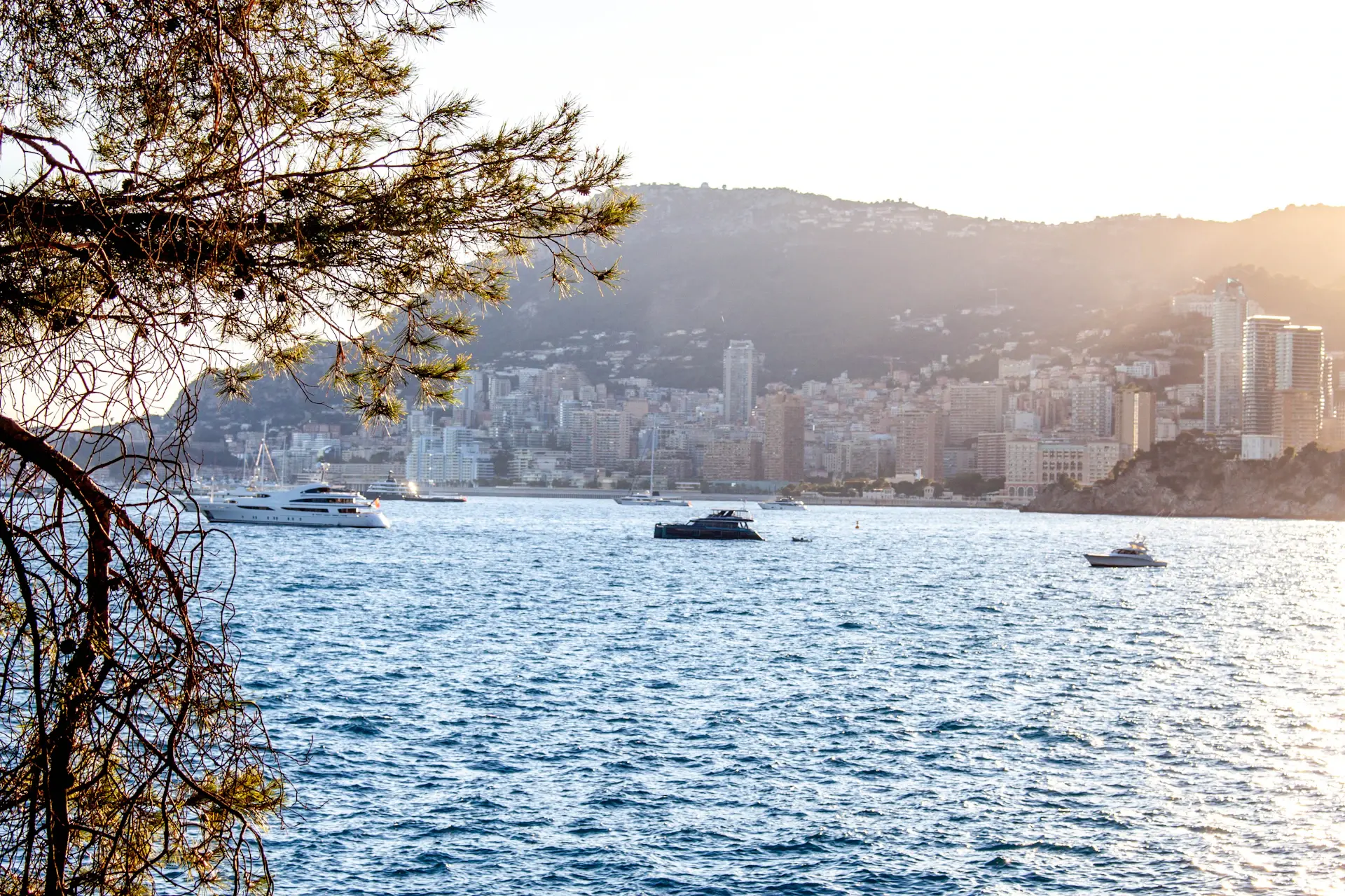 Monaco coastline and harbour