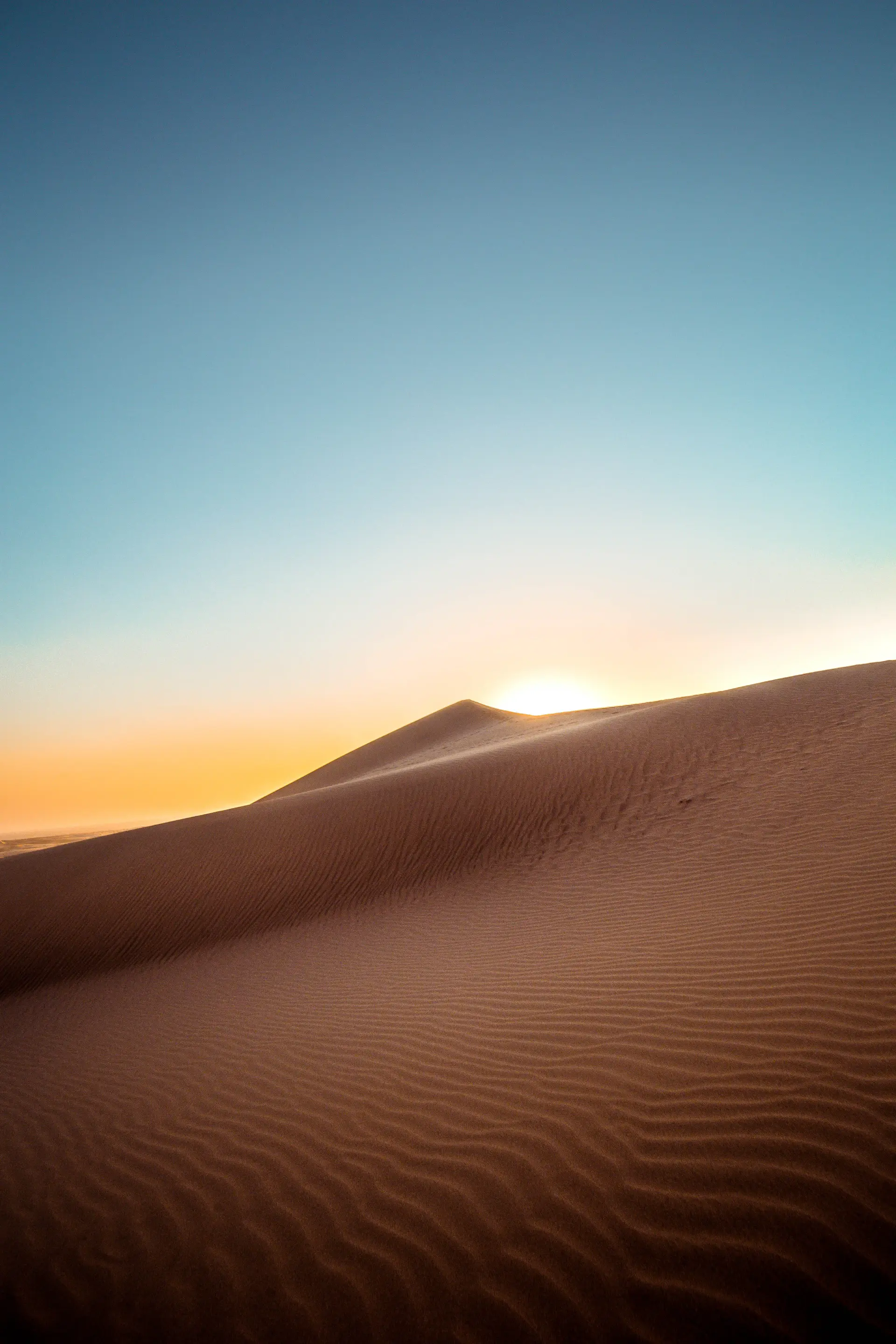 Sculpted desert dunes under soft golden side light