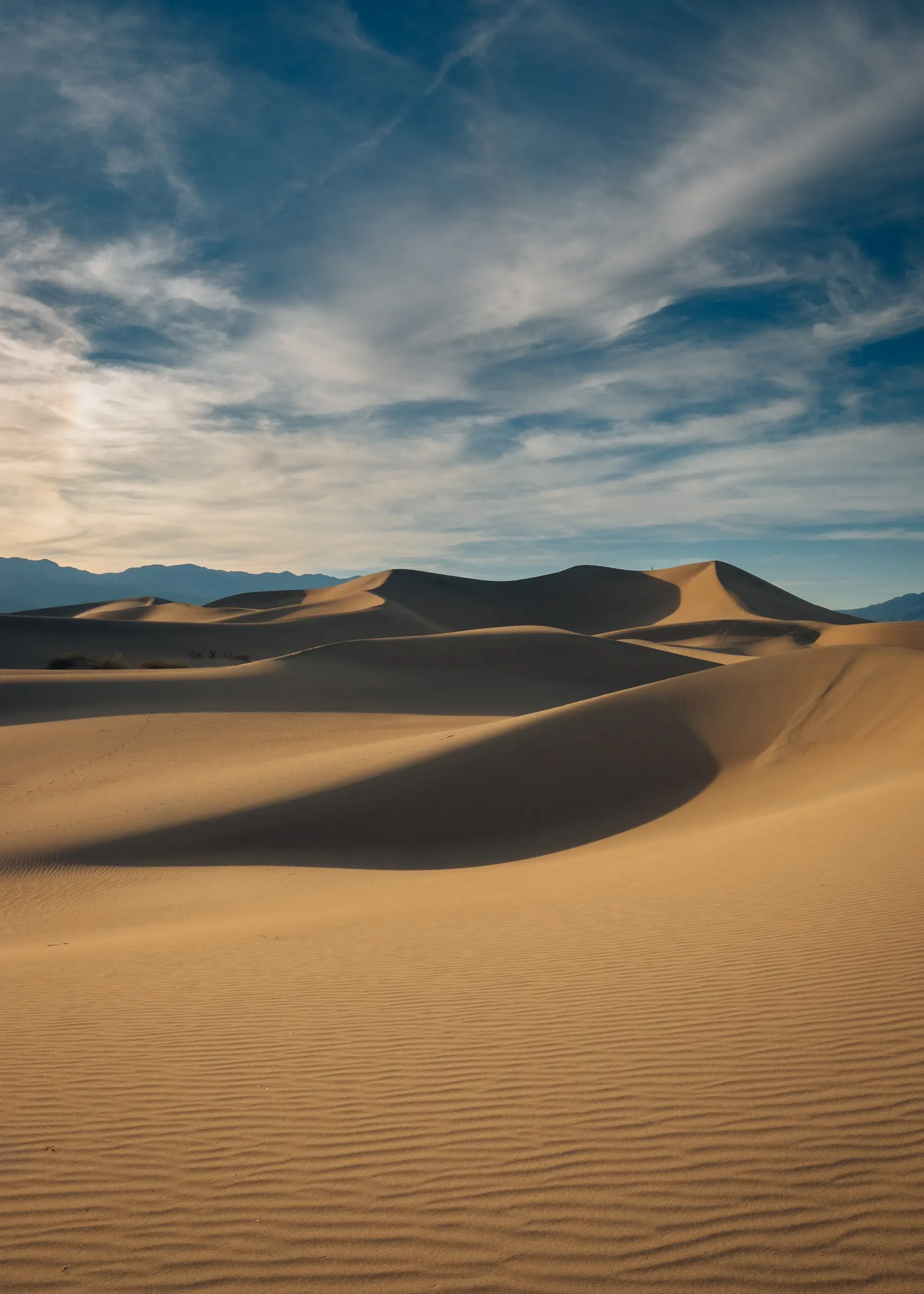 Rolling desert dunes carved by wind at golden hour