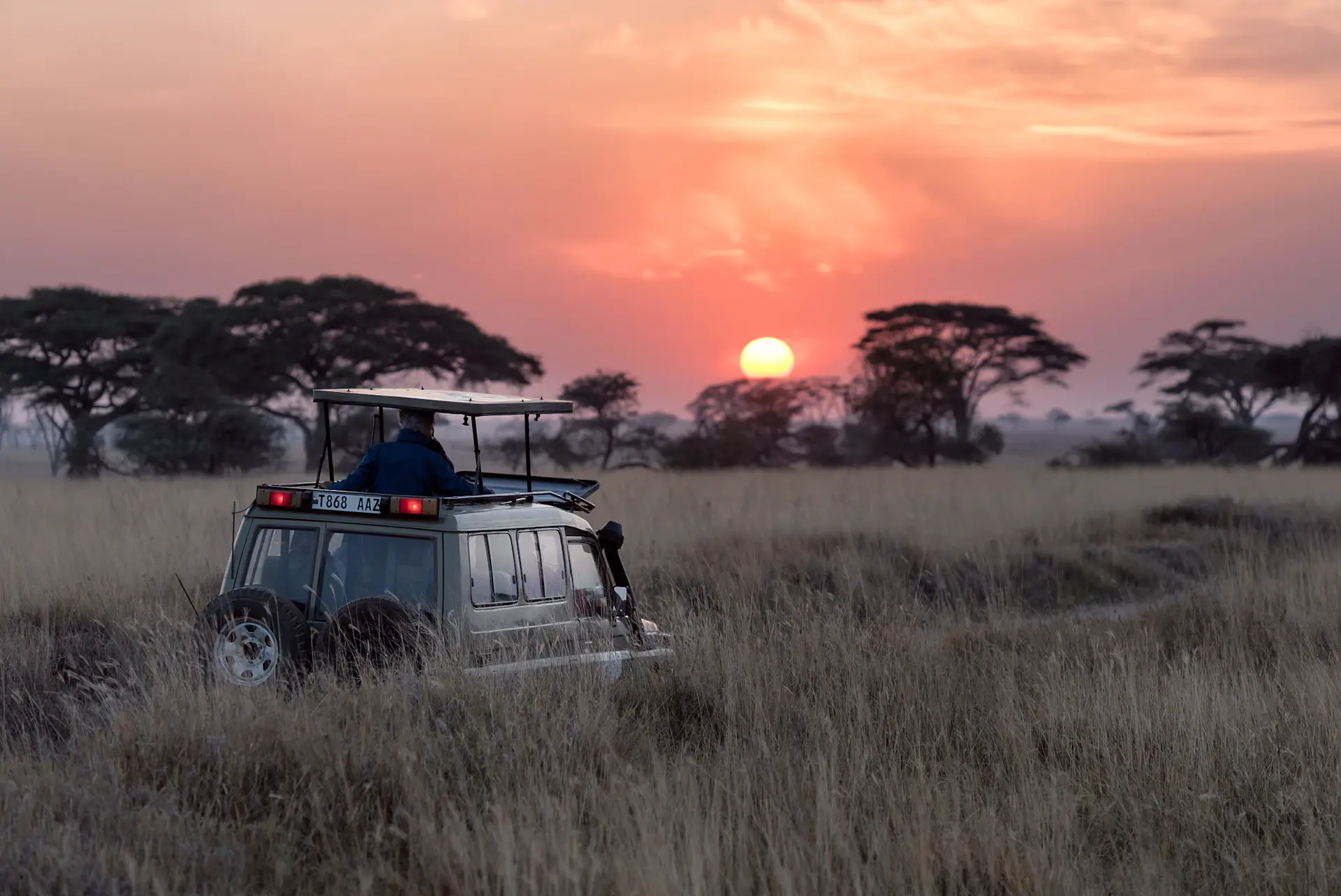 A private safari camp overlooking golden plains at first light