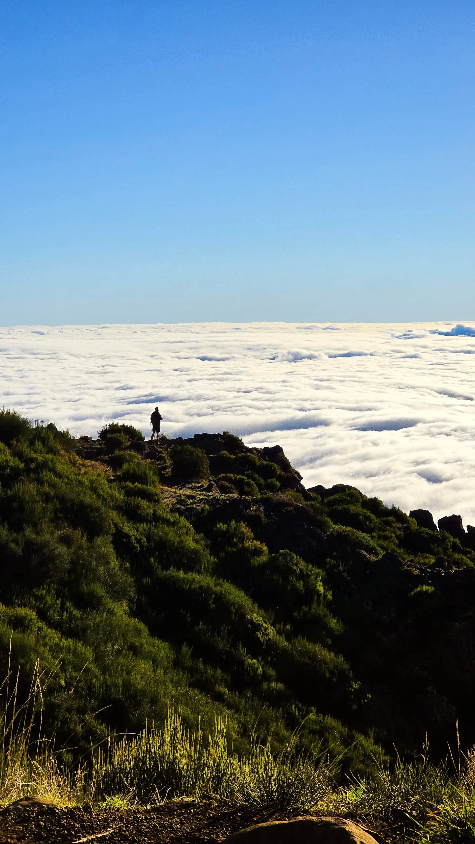 A hiker pausing on a high rocky summit above the clouds