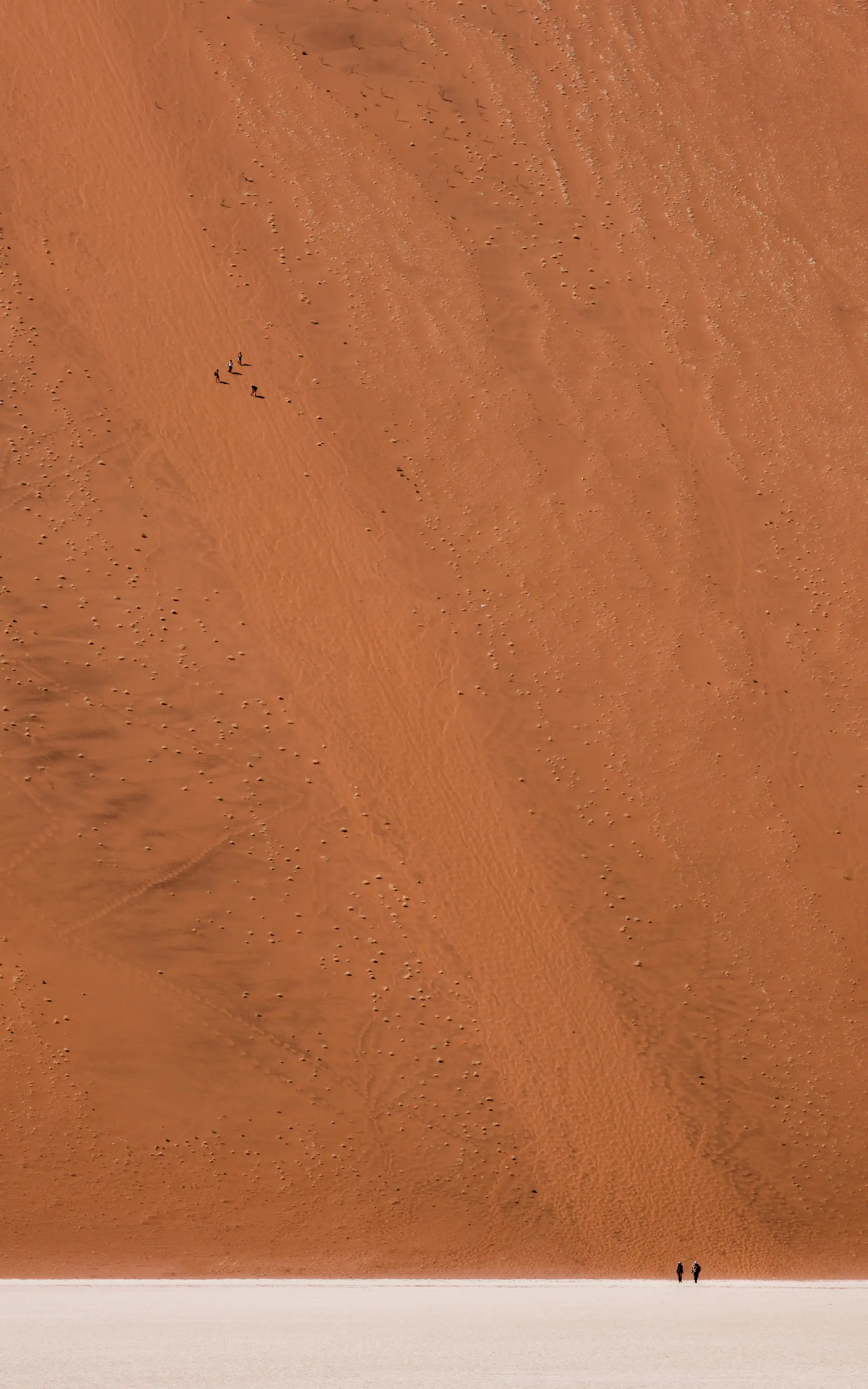 Curved red dunes stark against a clear sky
