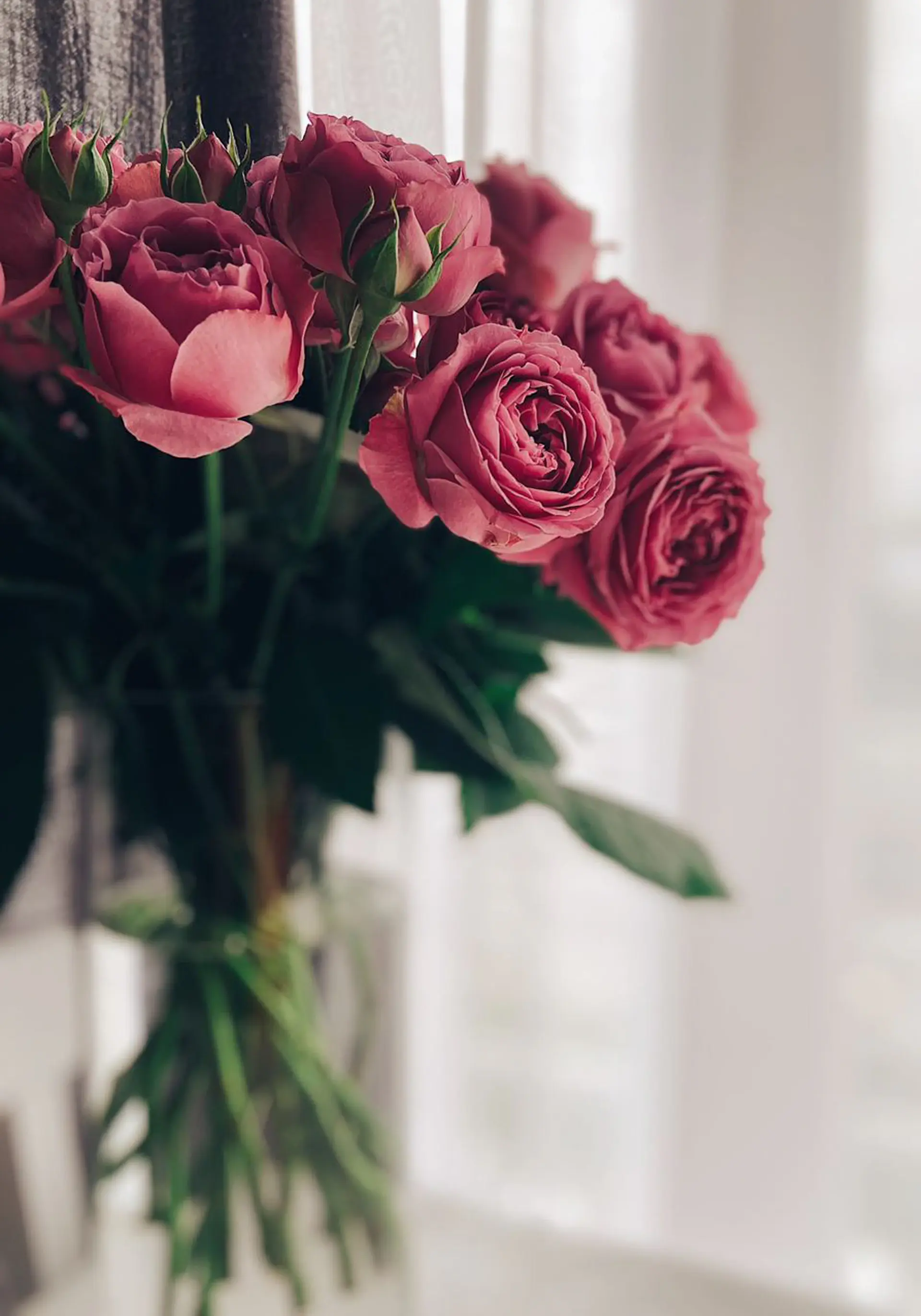 Roses for housewarming