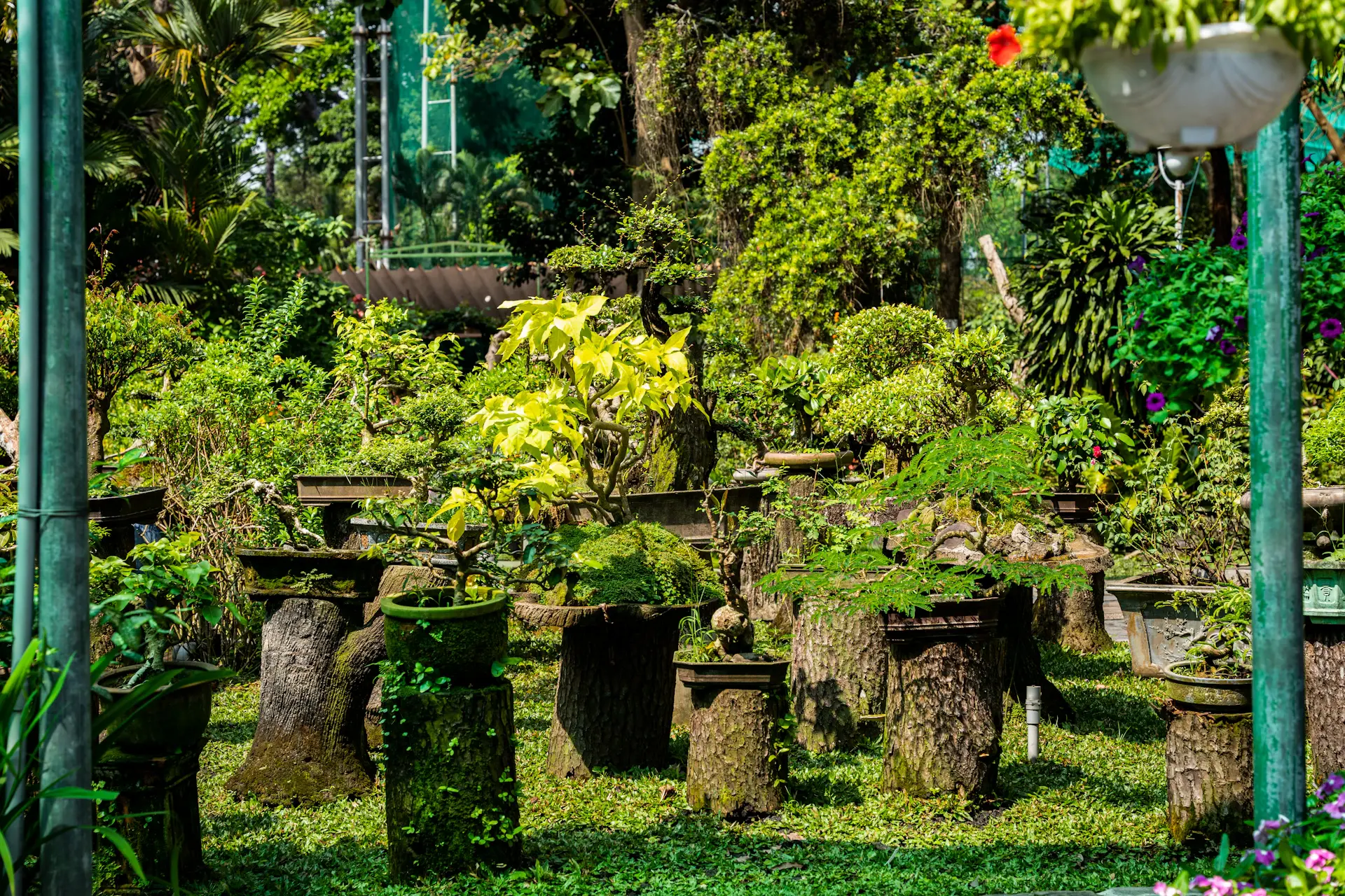 Thảo Cầm Viên Sài Gòn, Quận 1