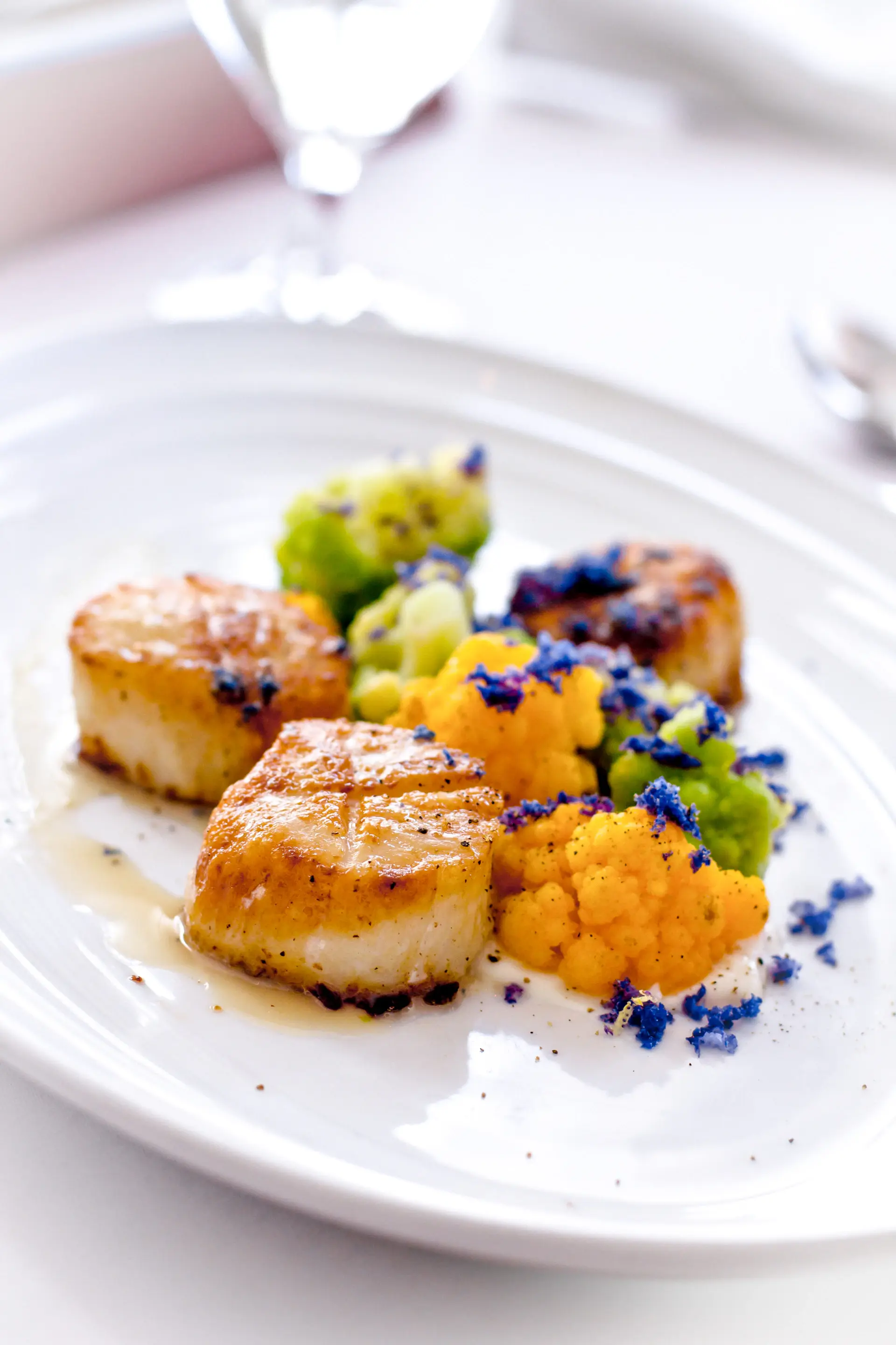 Sò điệp Saint-Jacques áp chảo với caviar