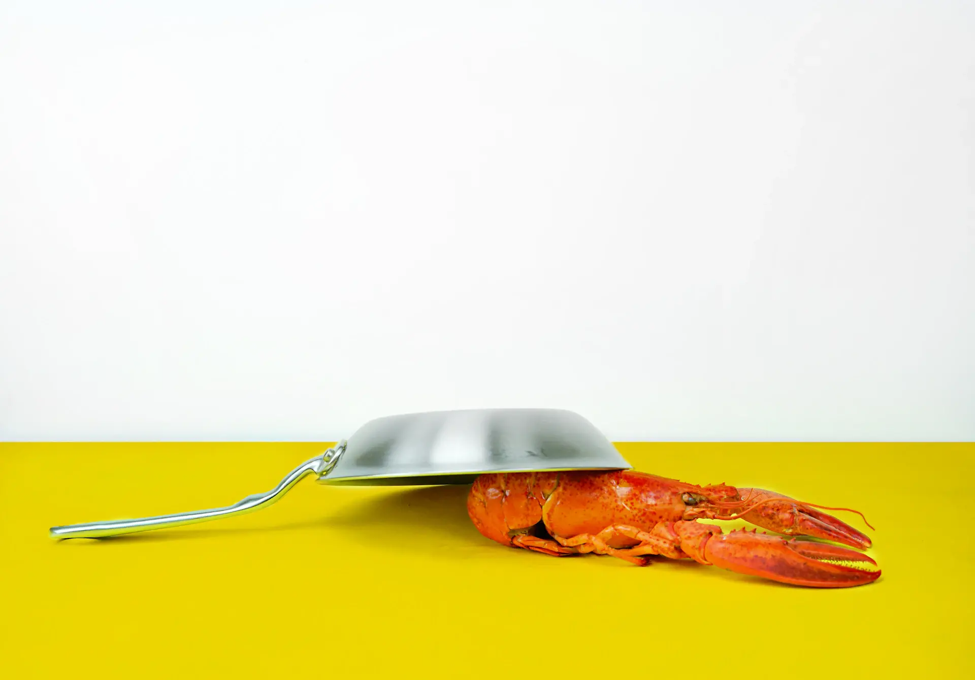 Tôm hùm hấp champagne — dish on table dining