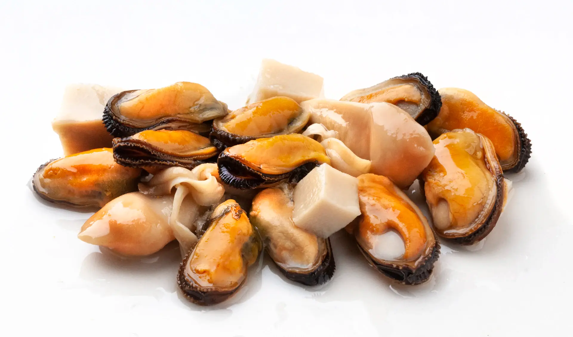 Mực và ngao tươi
