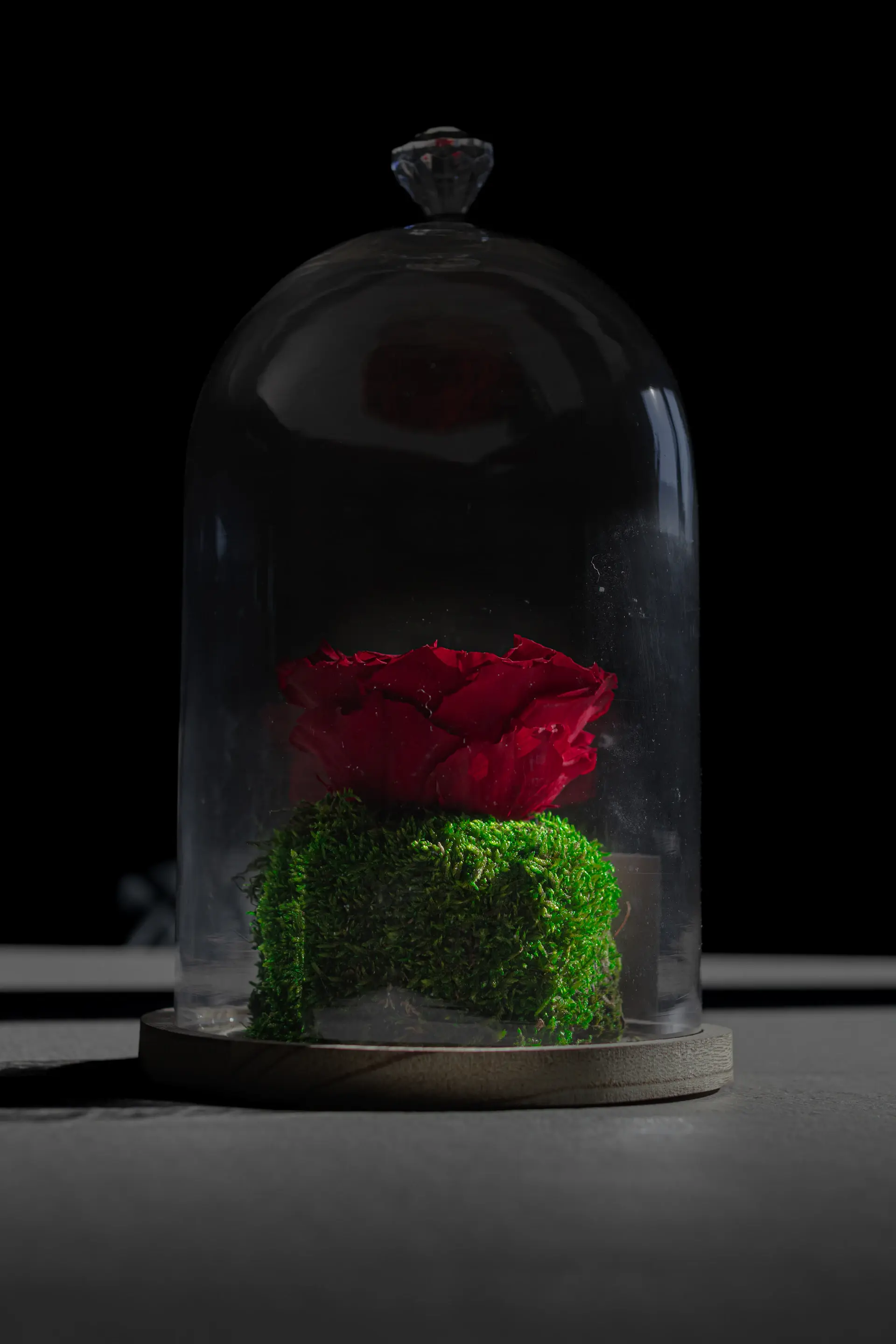 Eternal preserved roses