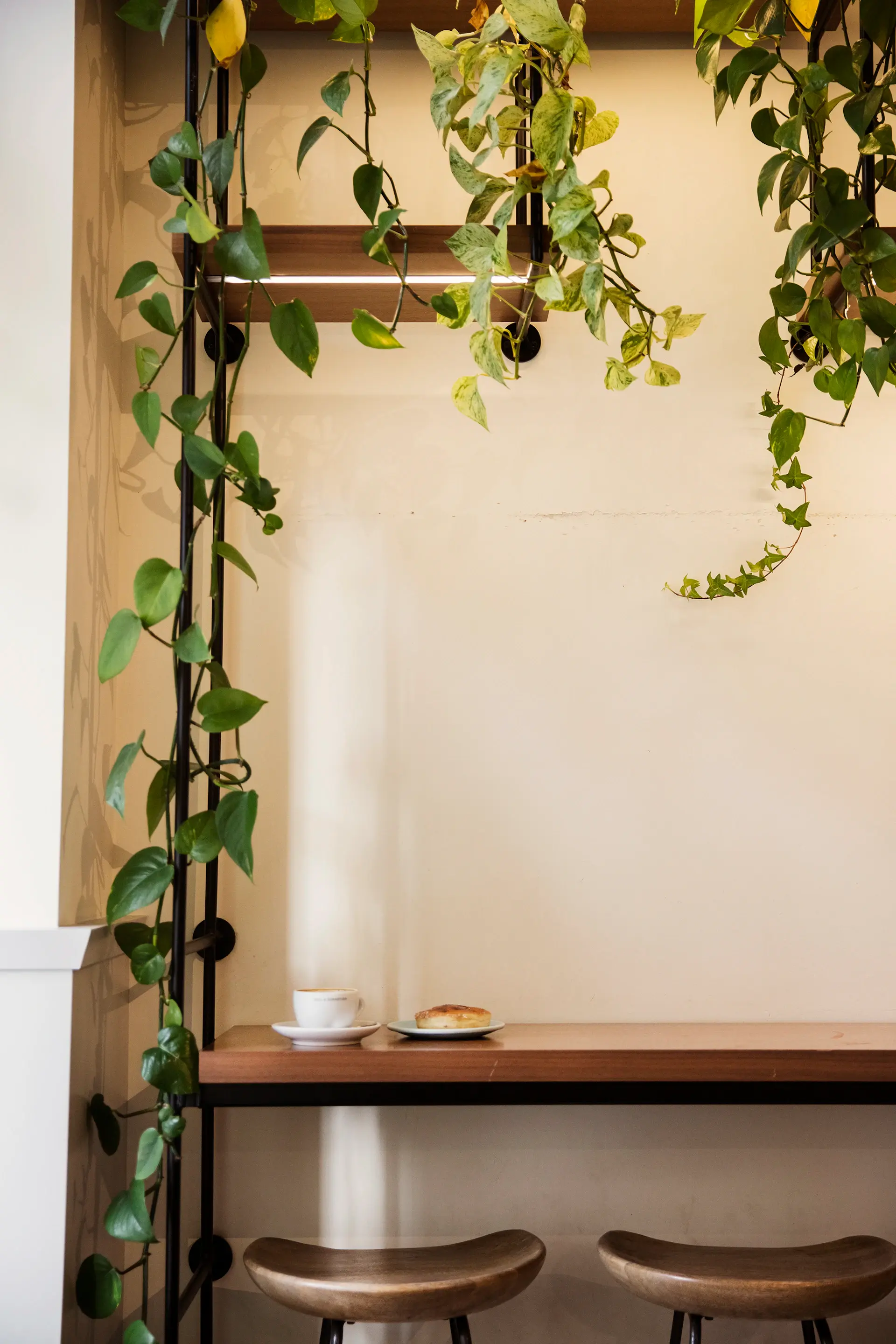 Cosy café corner filled with greenery
