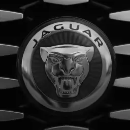 Best Luxury Brand 2025