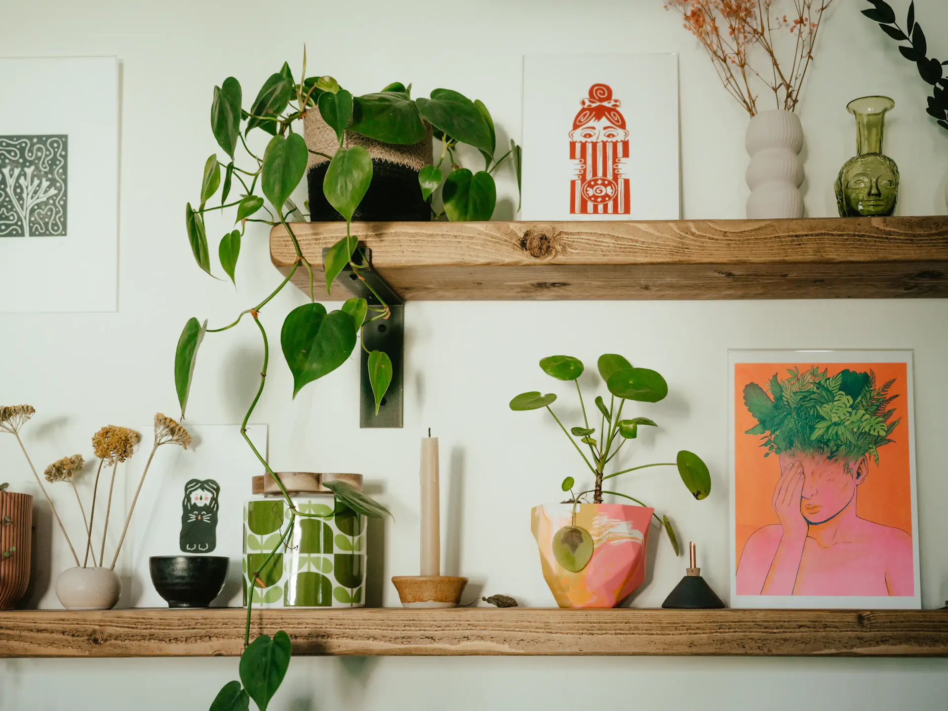 Styled shelf with layered potted plants and trailing vines