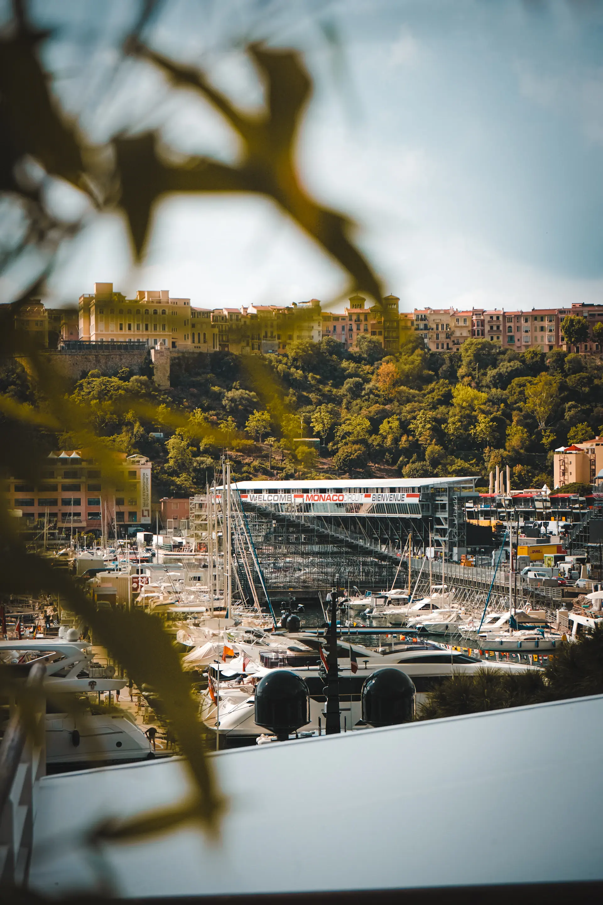 The Monaco atelier near the harbour