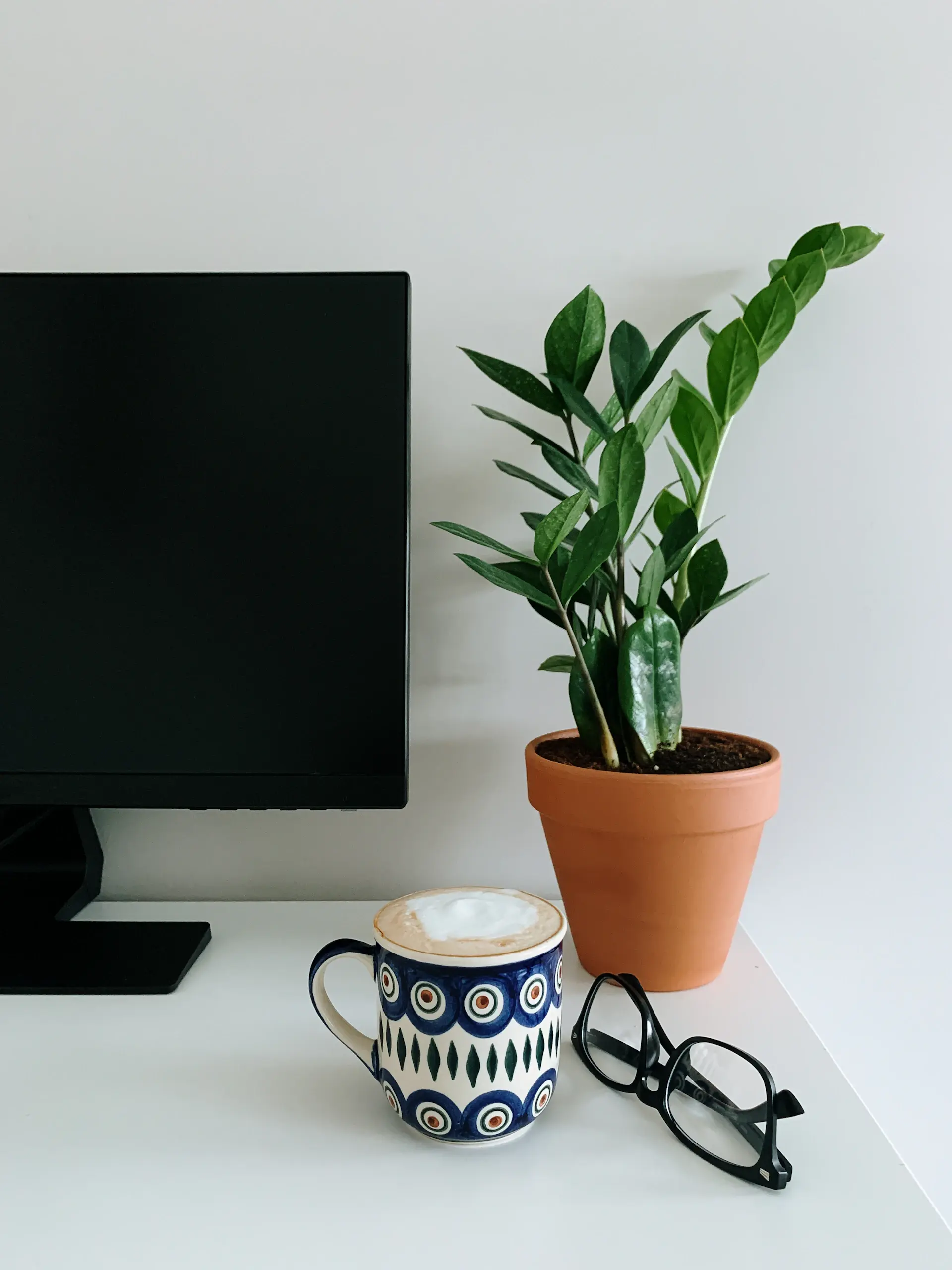 Bright desk with a compact ZZ plant