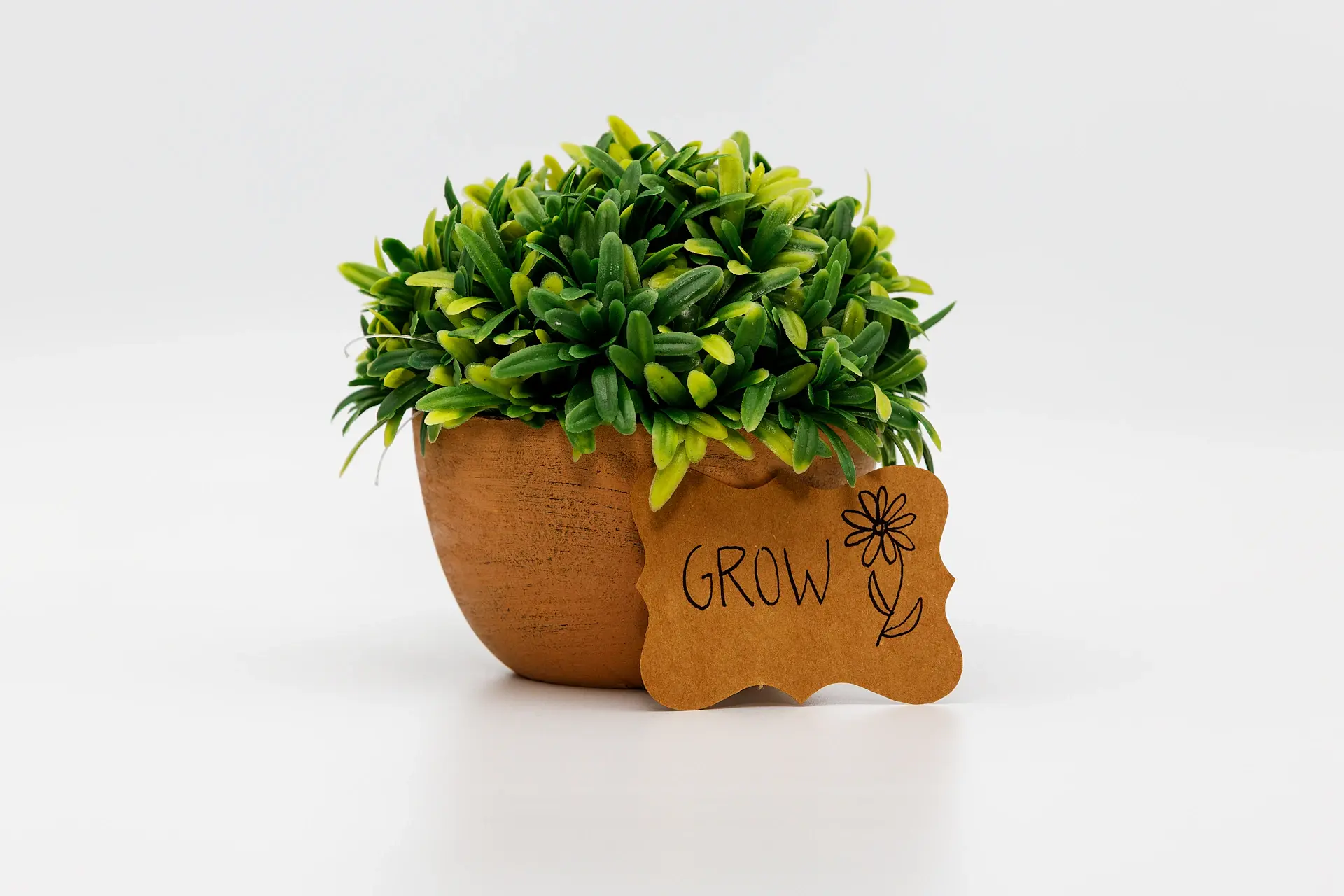A row of branded plant gift boxes prepared for a corporate order