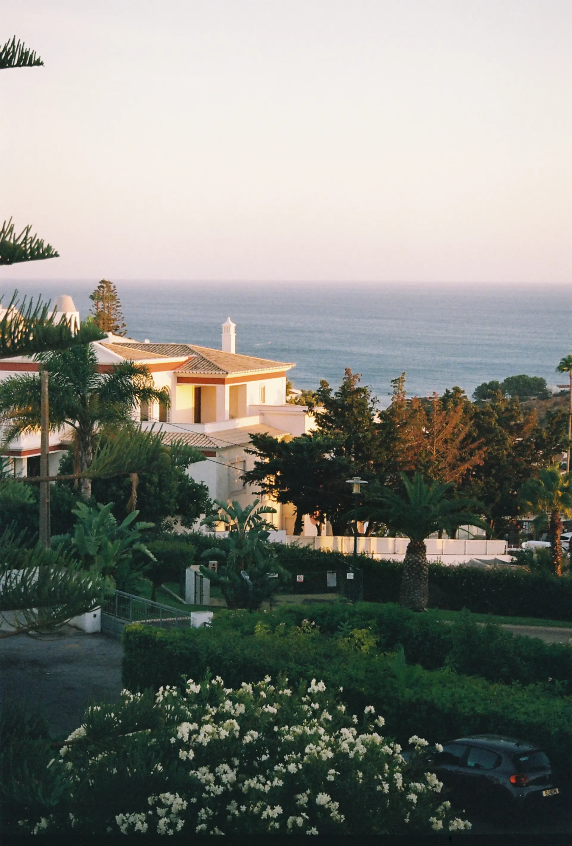Tropical villa with lap pool surrounded by gardens
