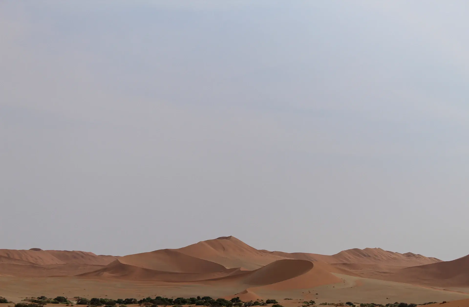 Cracked white salt flat under an empty sky