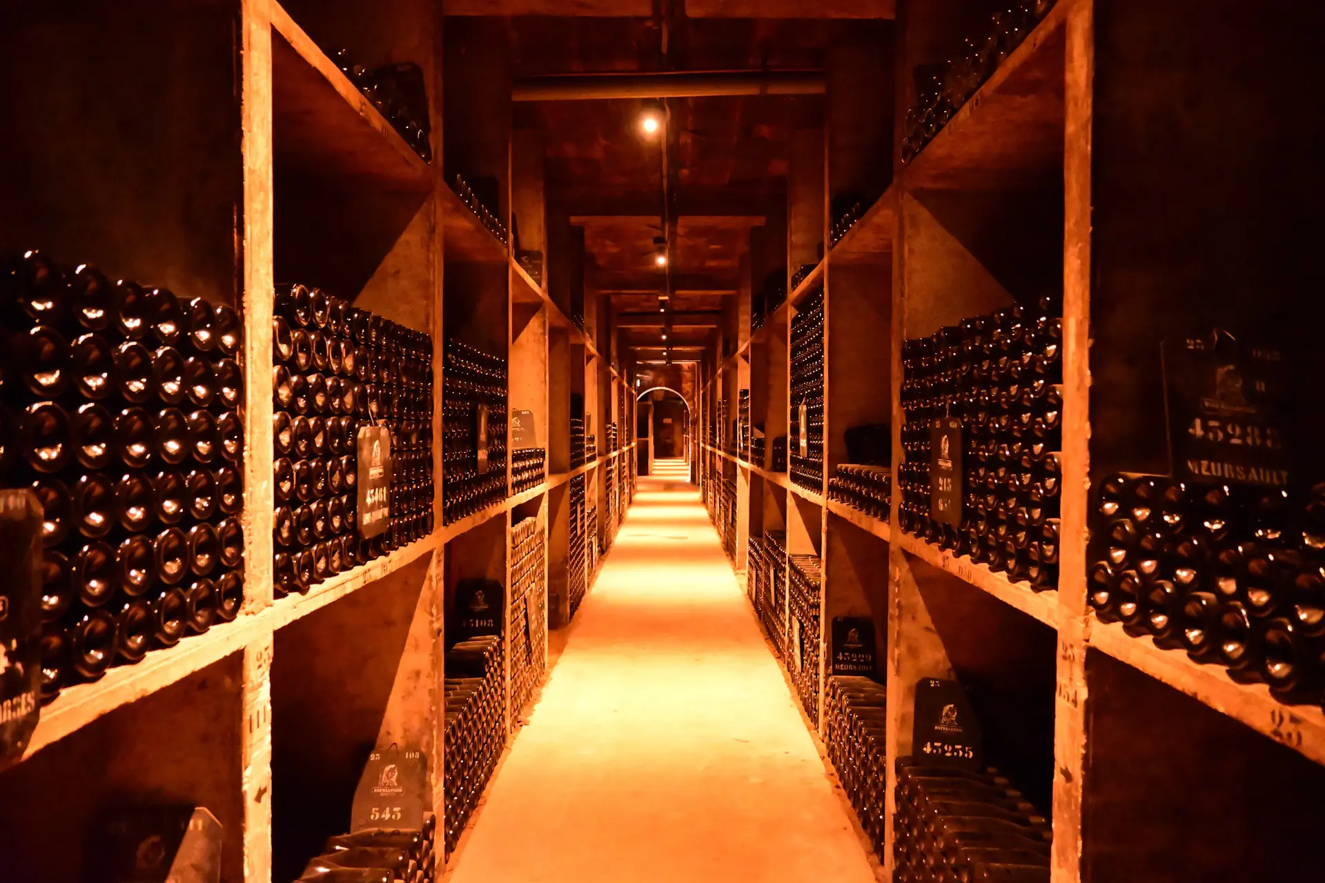 Dimly lit ageing cellar with rows of dusty bottles resting in stone racks