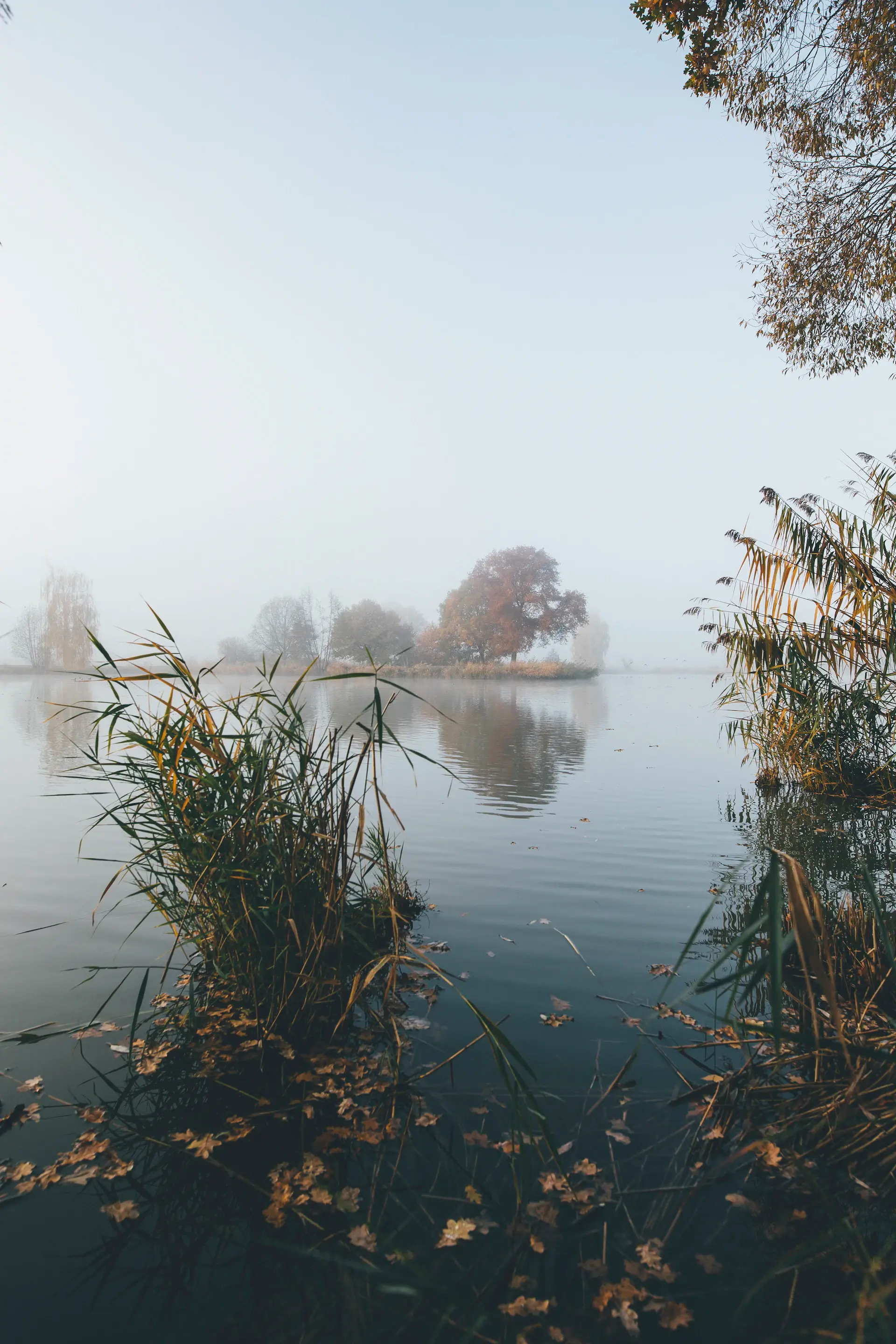 Mist rising off a glassy lake at dawn