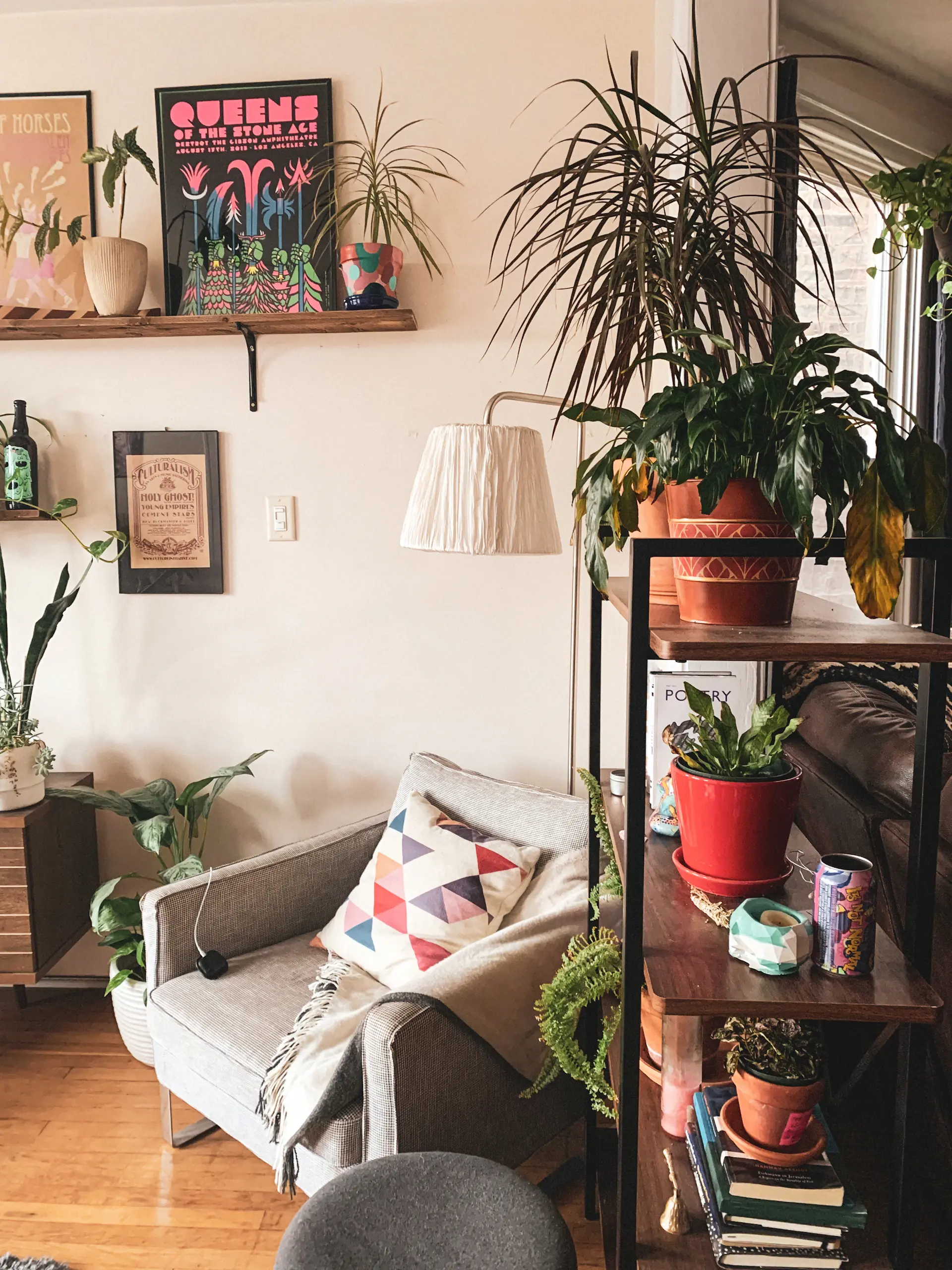 A styled corner filled with lush indoor plants