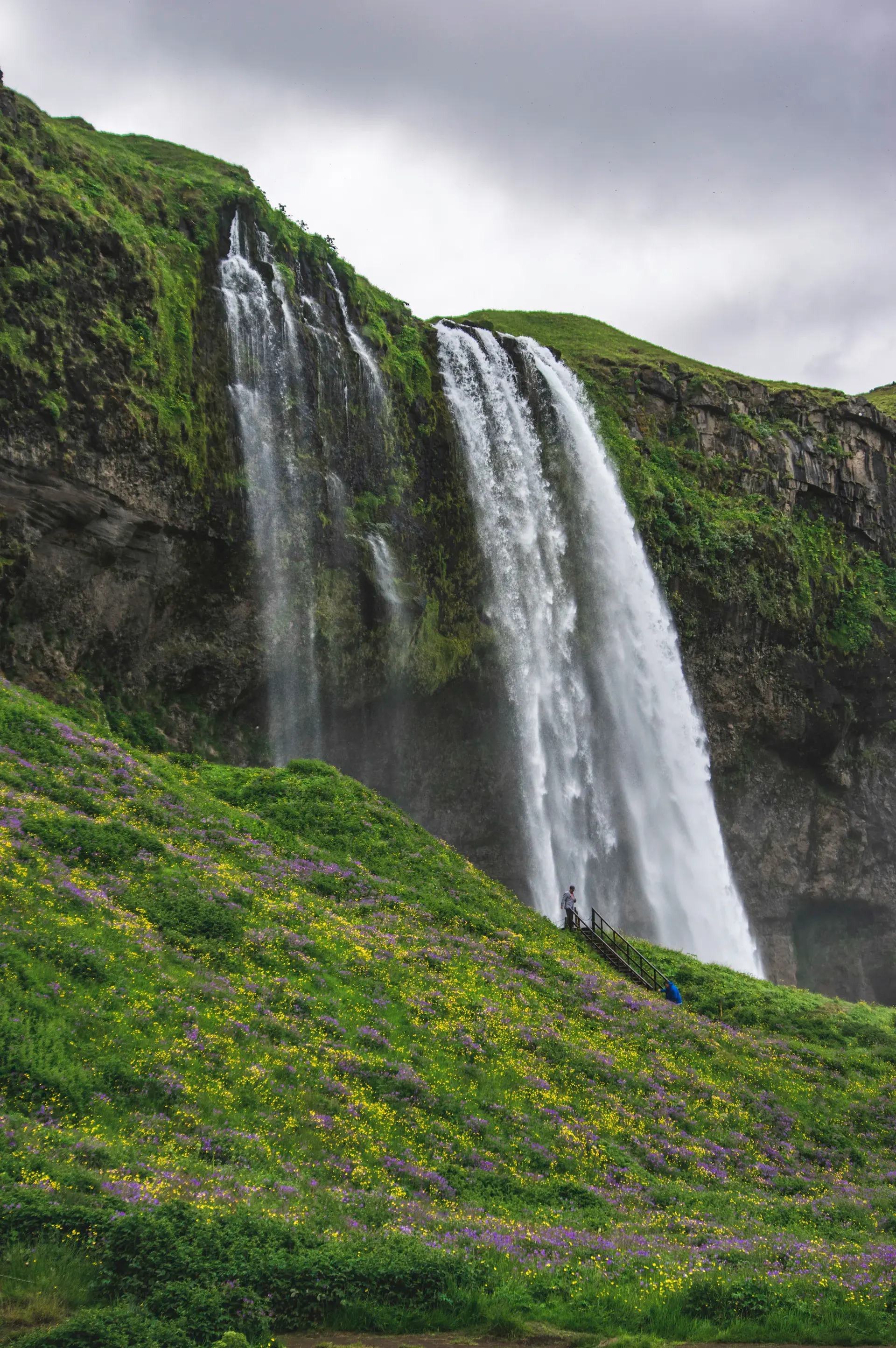 A tall thread of water falling past a green overhang