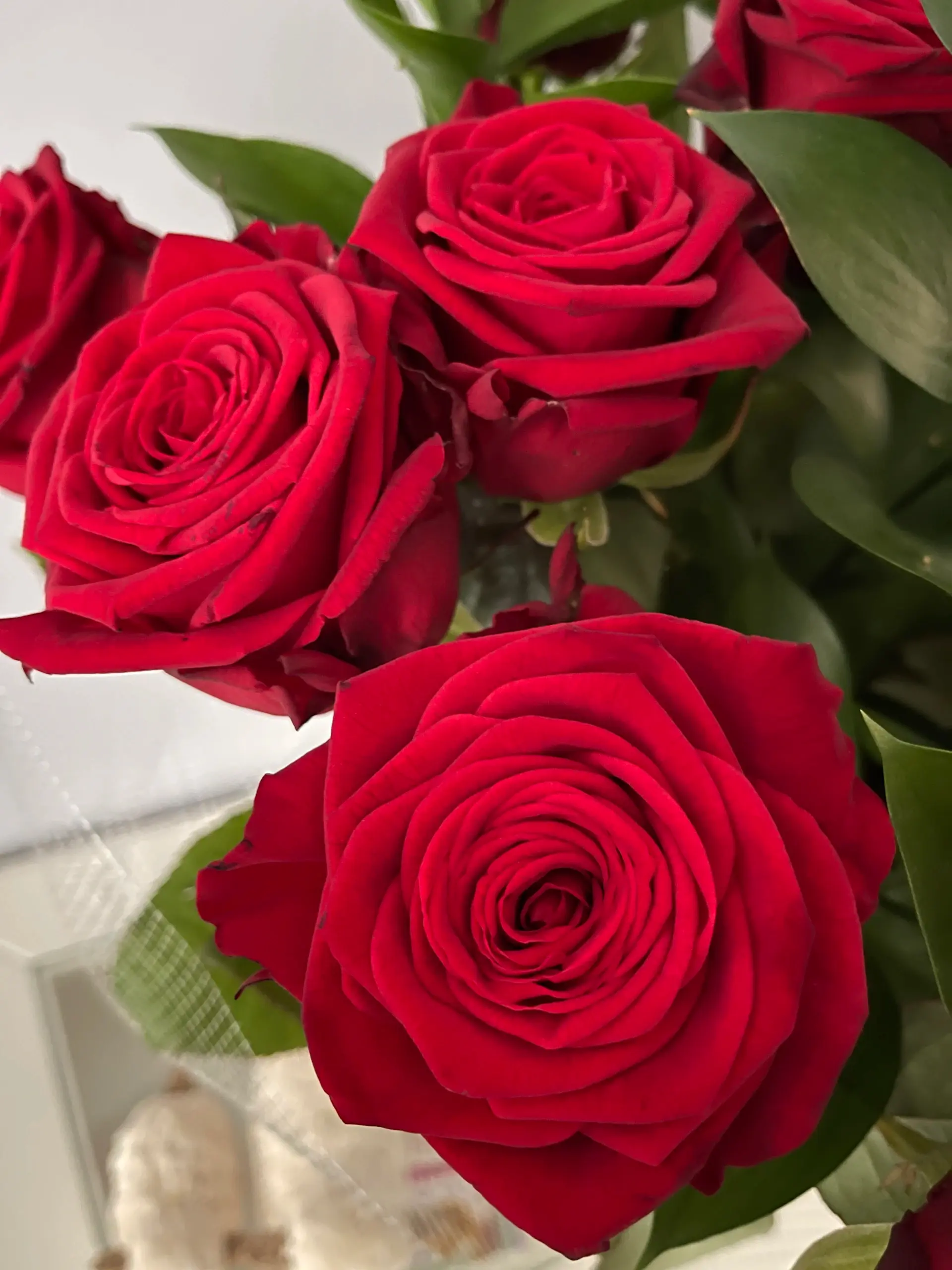 Wine-red rose bouquet