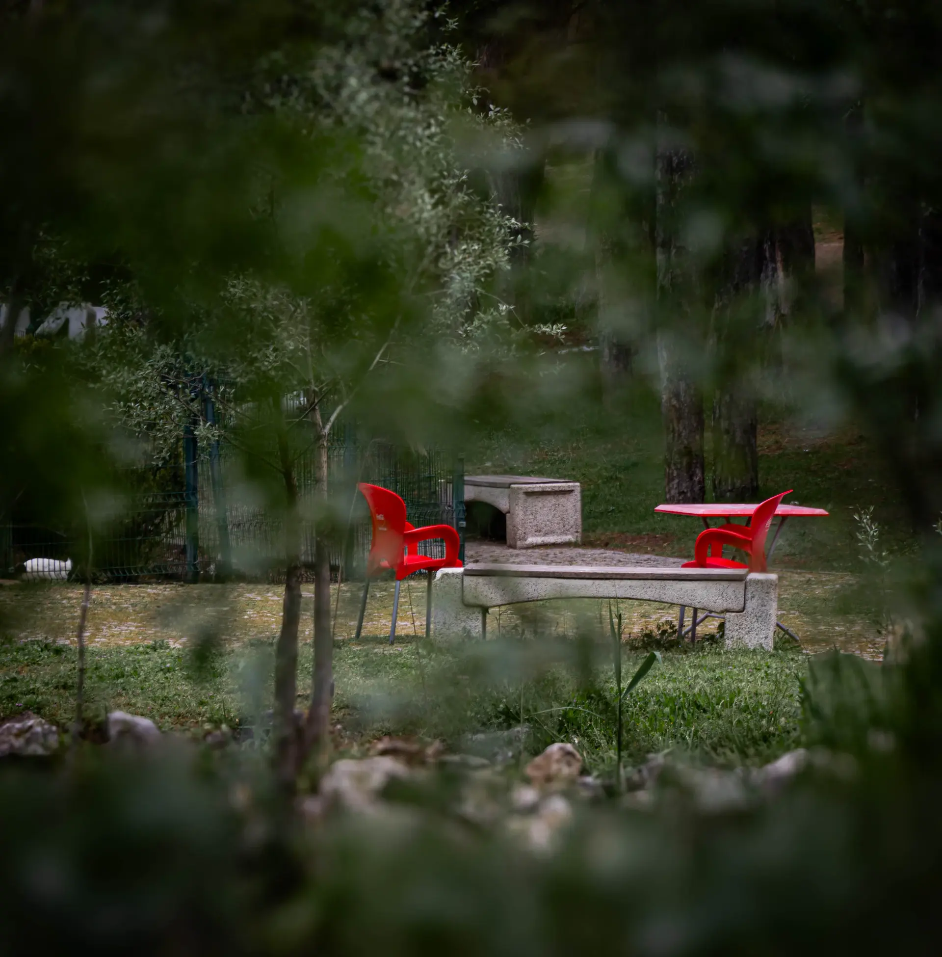 Fine dining table set outdoors at golden hour