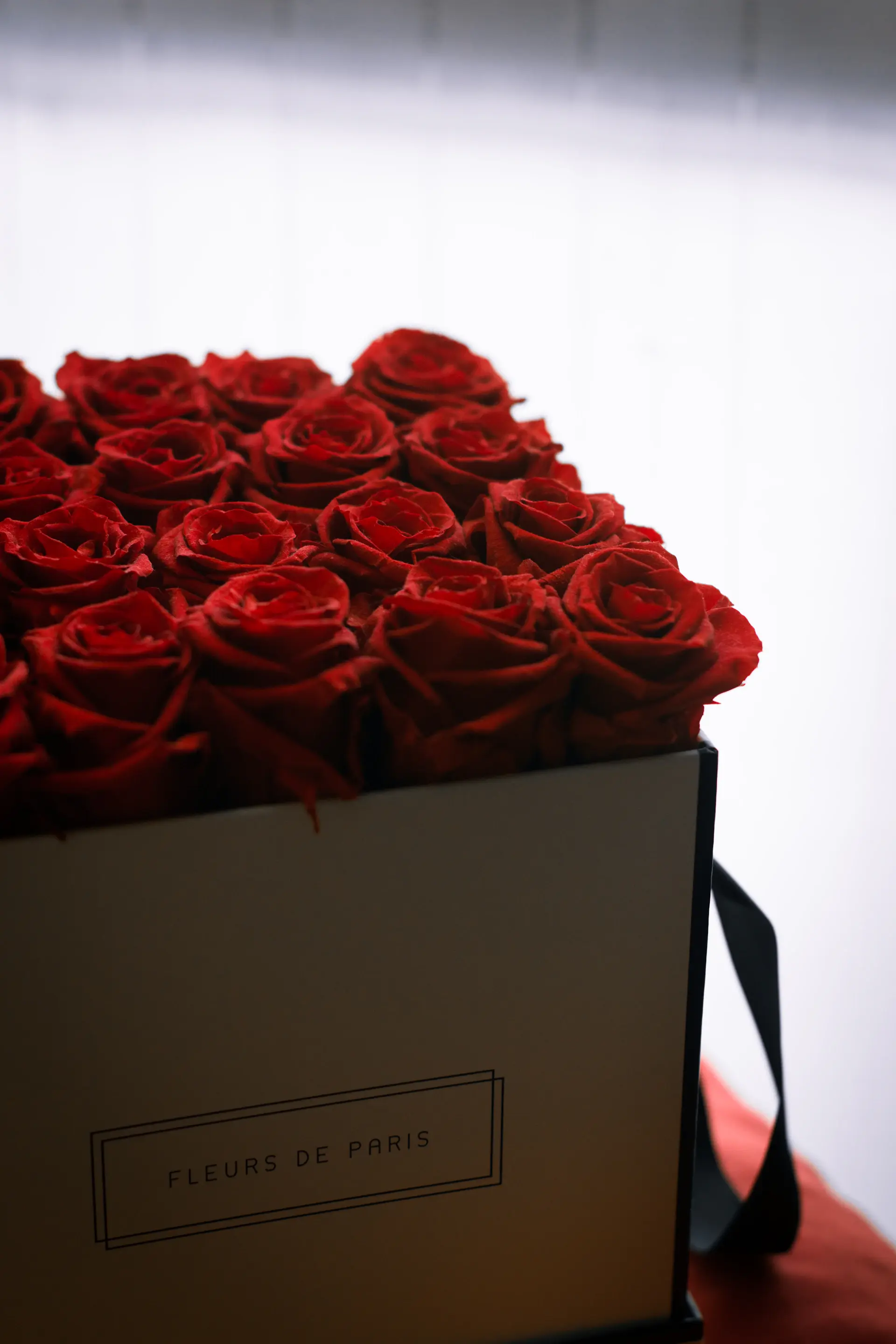 Maison Rose luxury preserved rose box