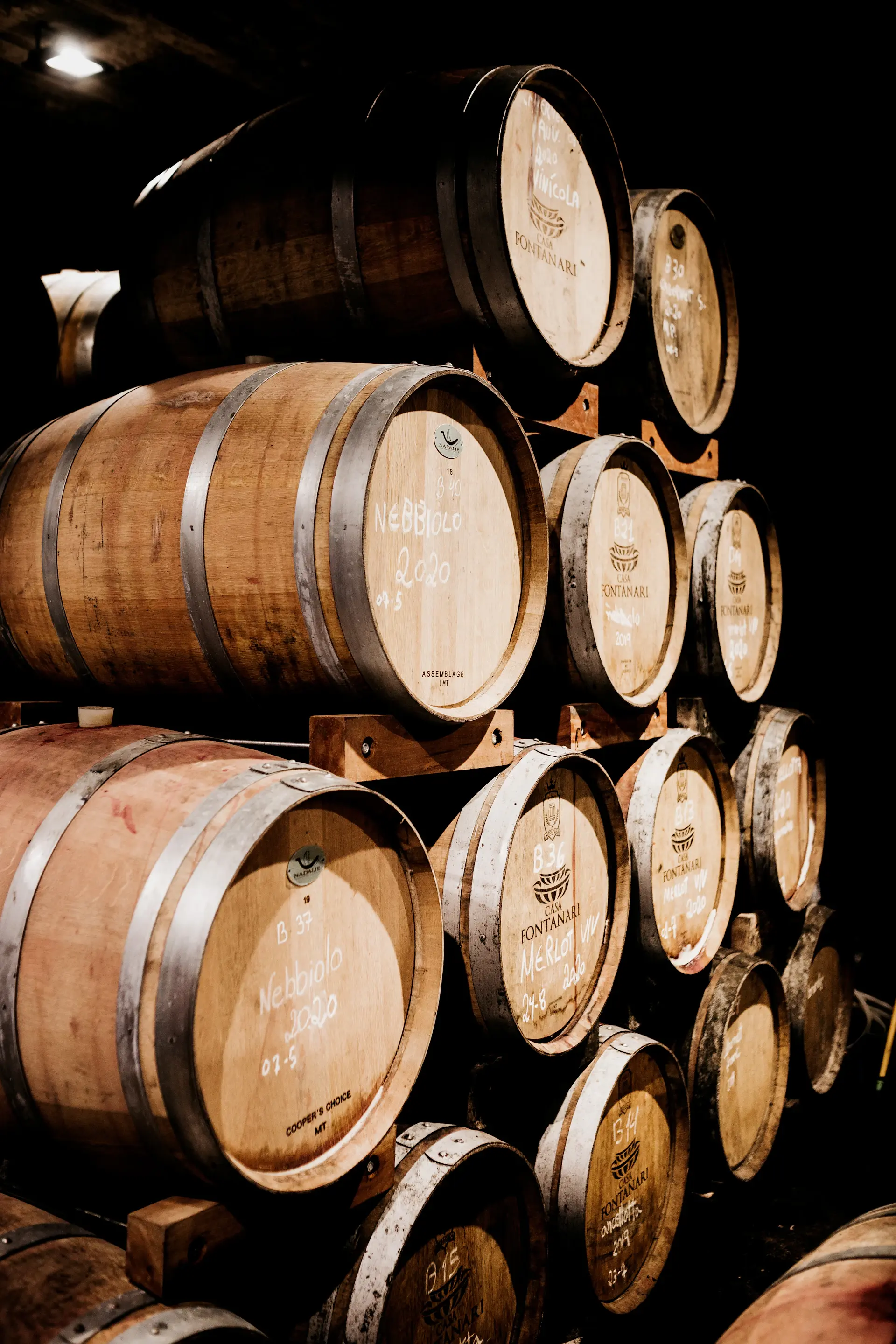 A maker's hands resting on aged oak barrels in a dim cellar