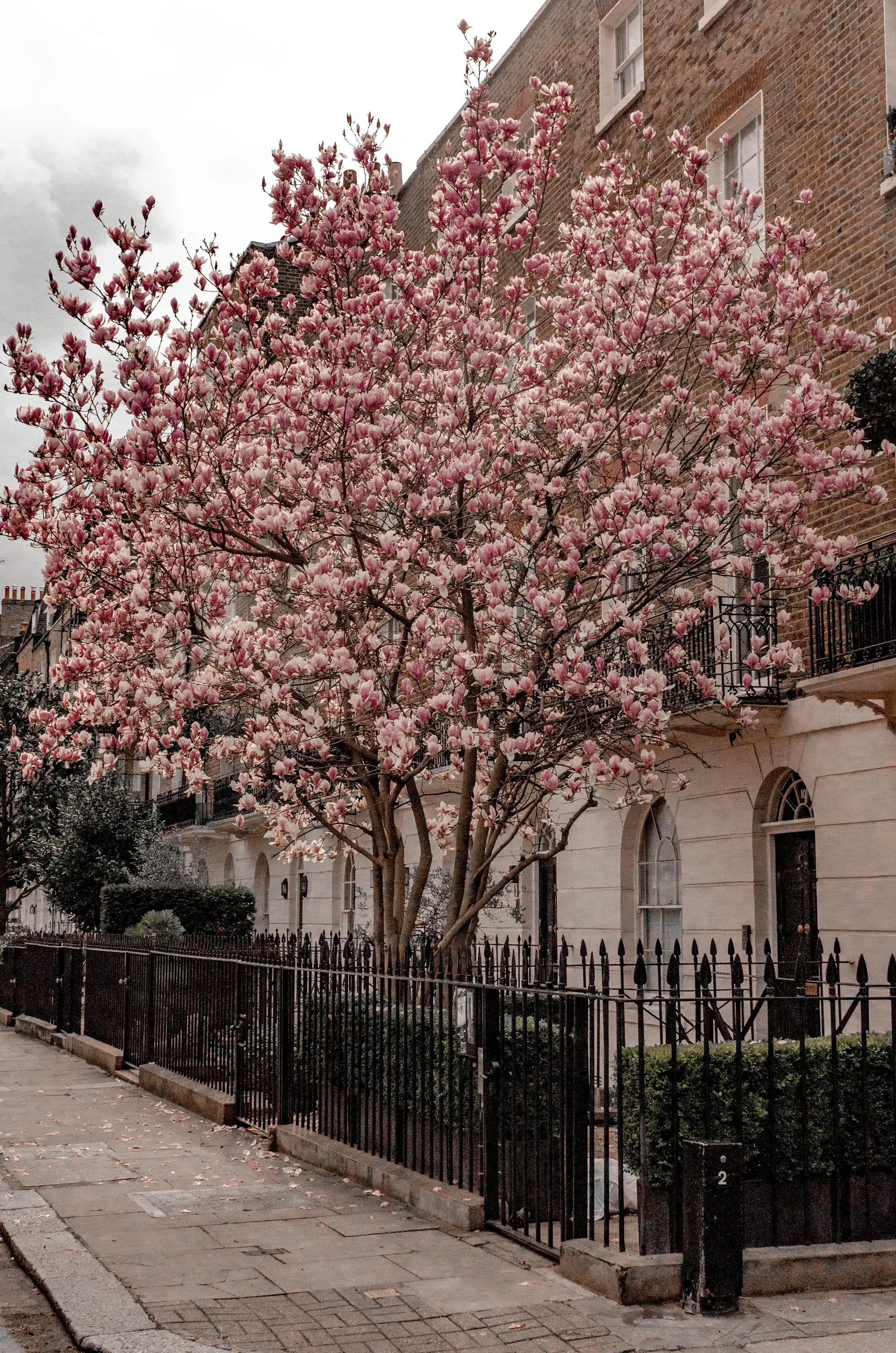 A resident-keyed private garden square in spring