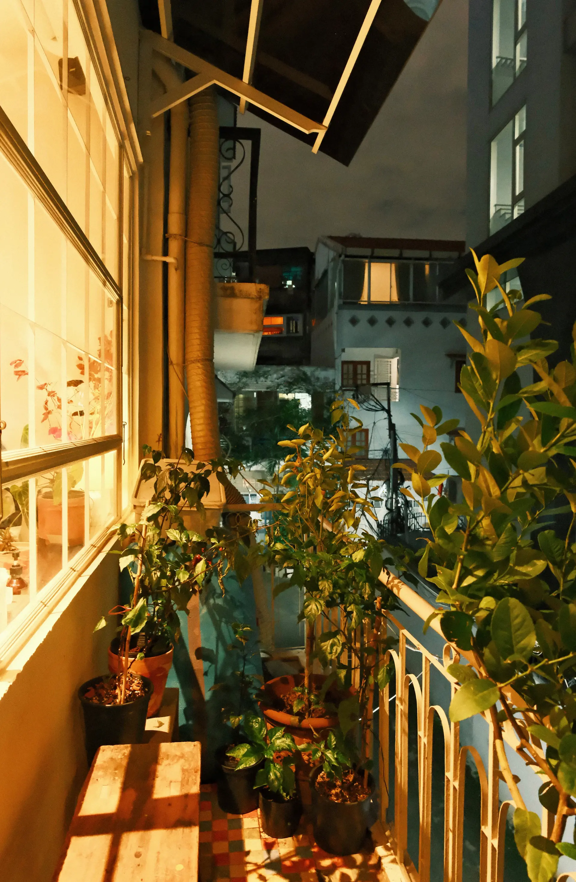 Lush balcony garden in soft light